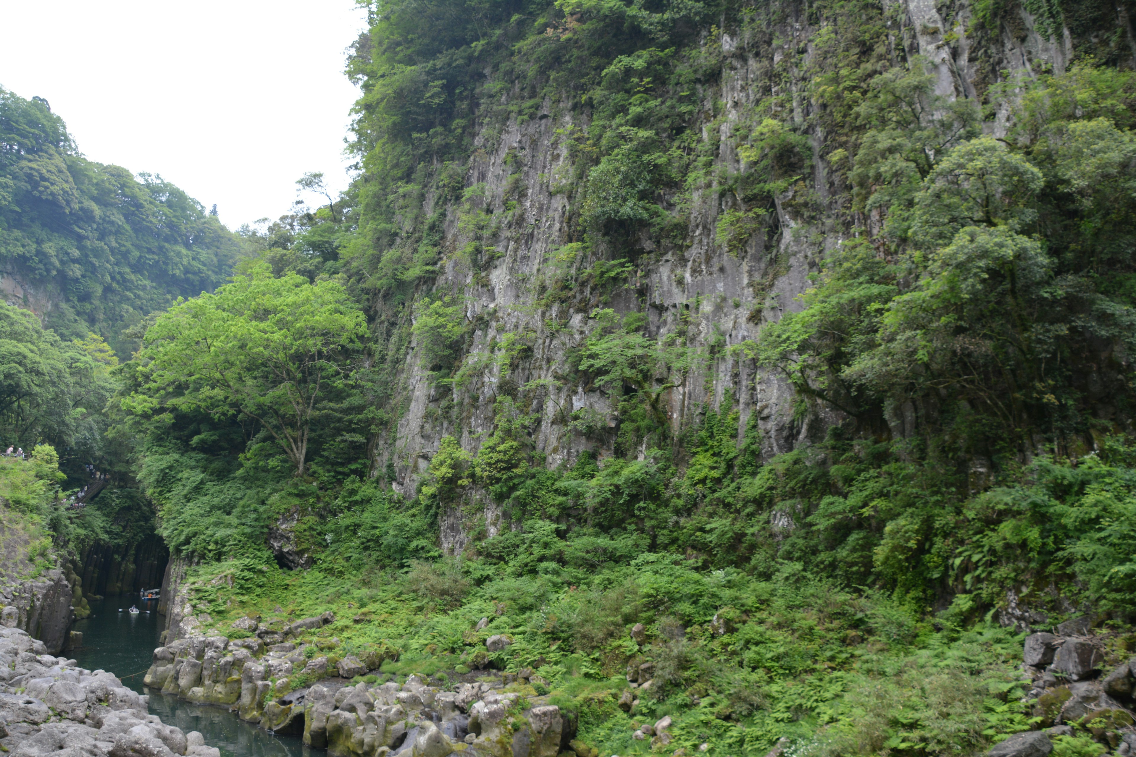 Pemandangan tebing hijau subur dan sungai