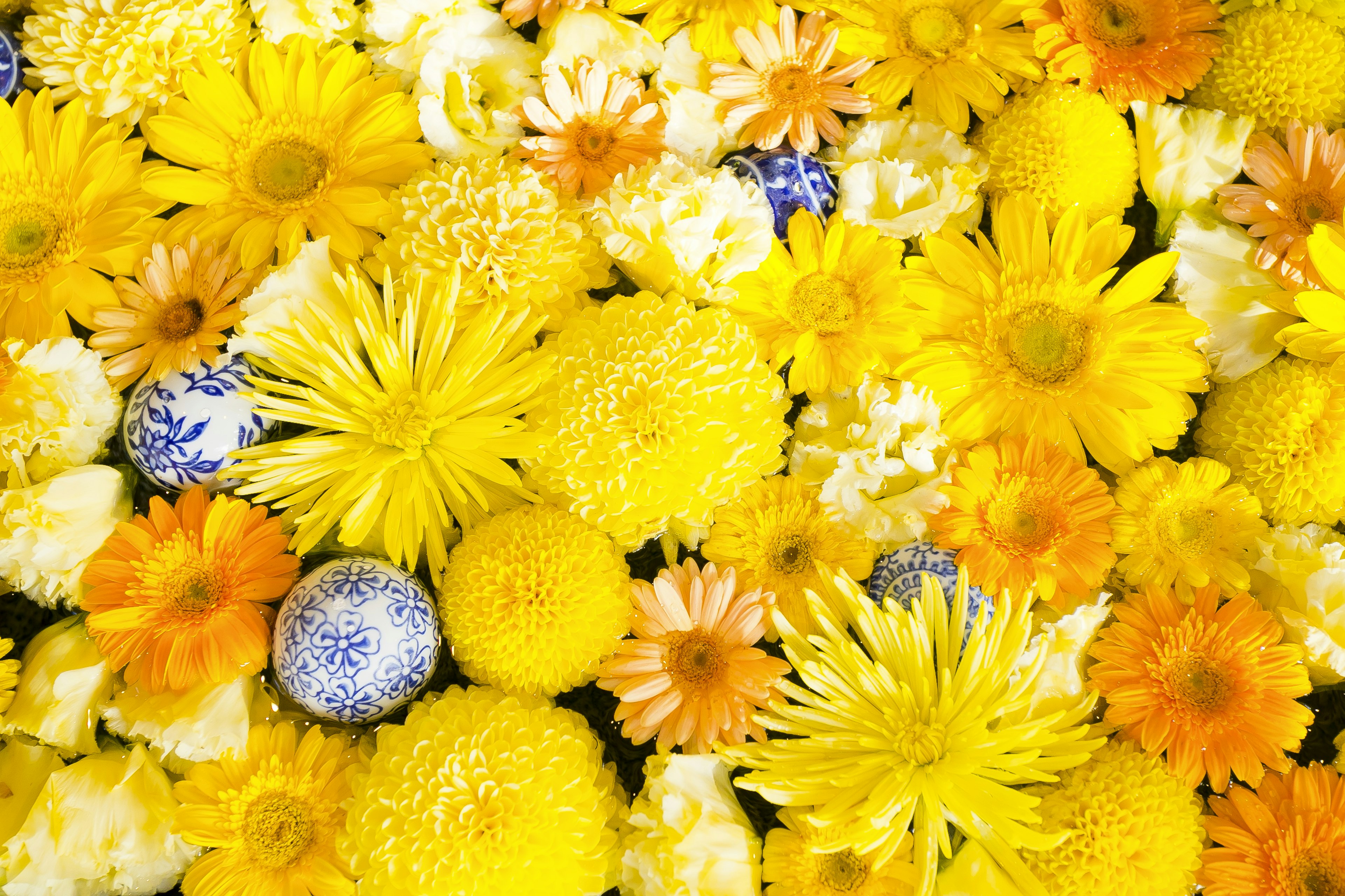 Lebendige Anordnung von gelben Blumen mit einigen weißen und orangefarbenen Blüten