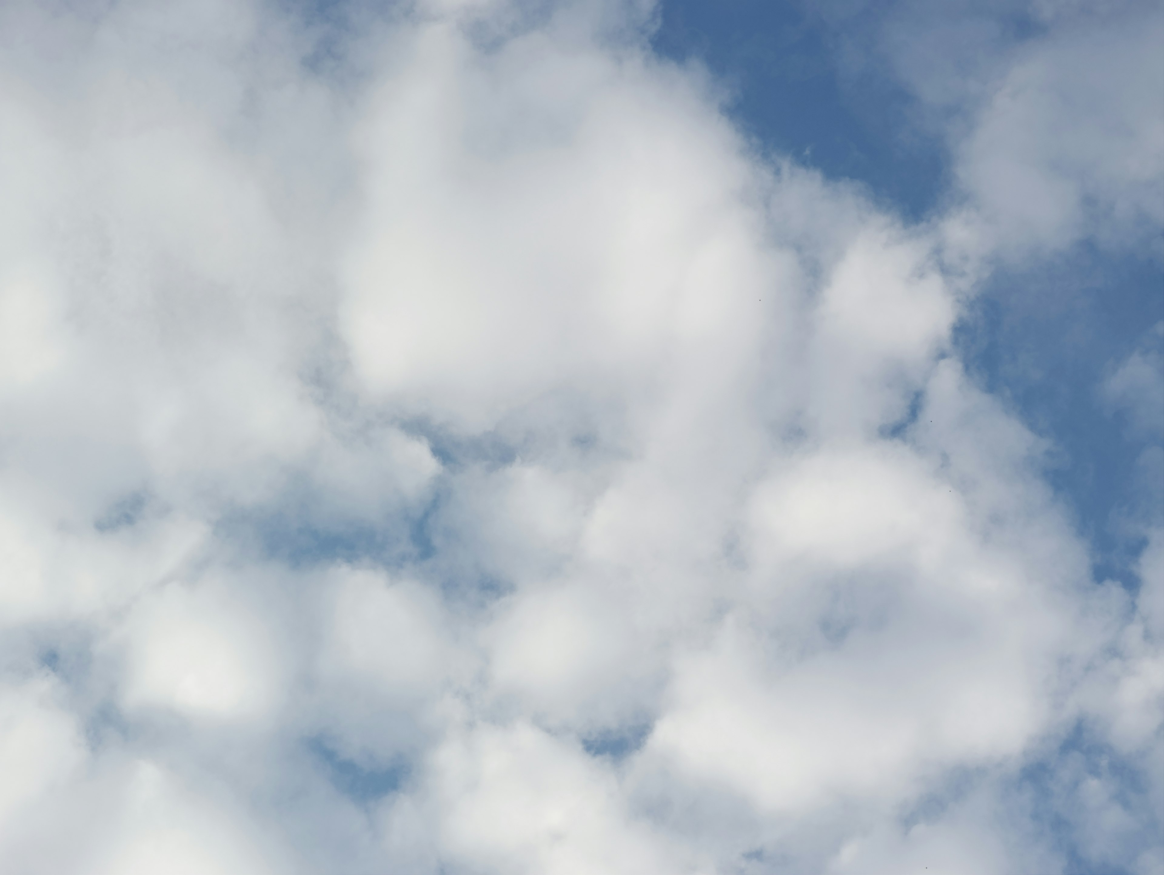 Fluffy white clouds scattered across a bright blue sky