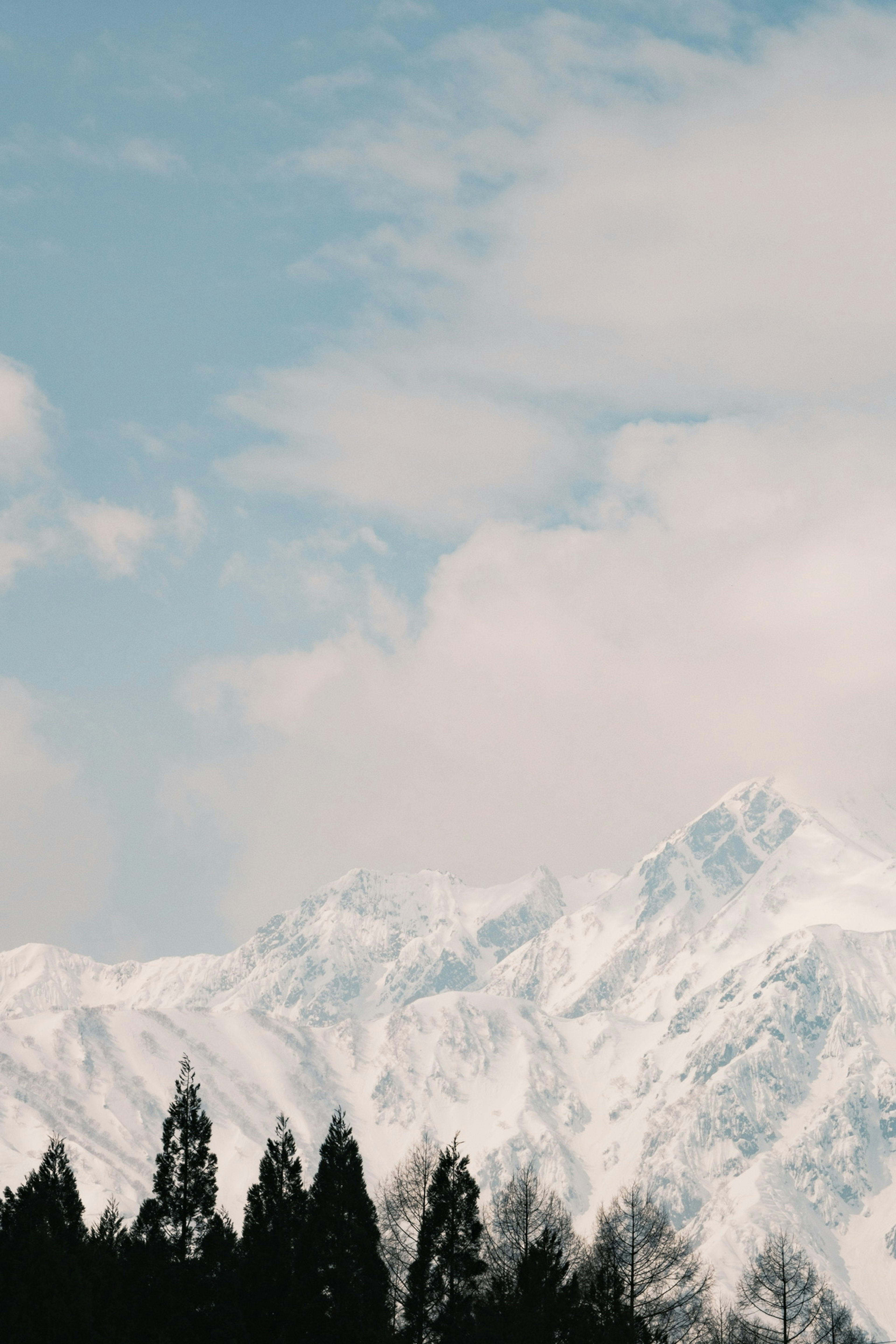 雪に覆われた山々と青空の風景