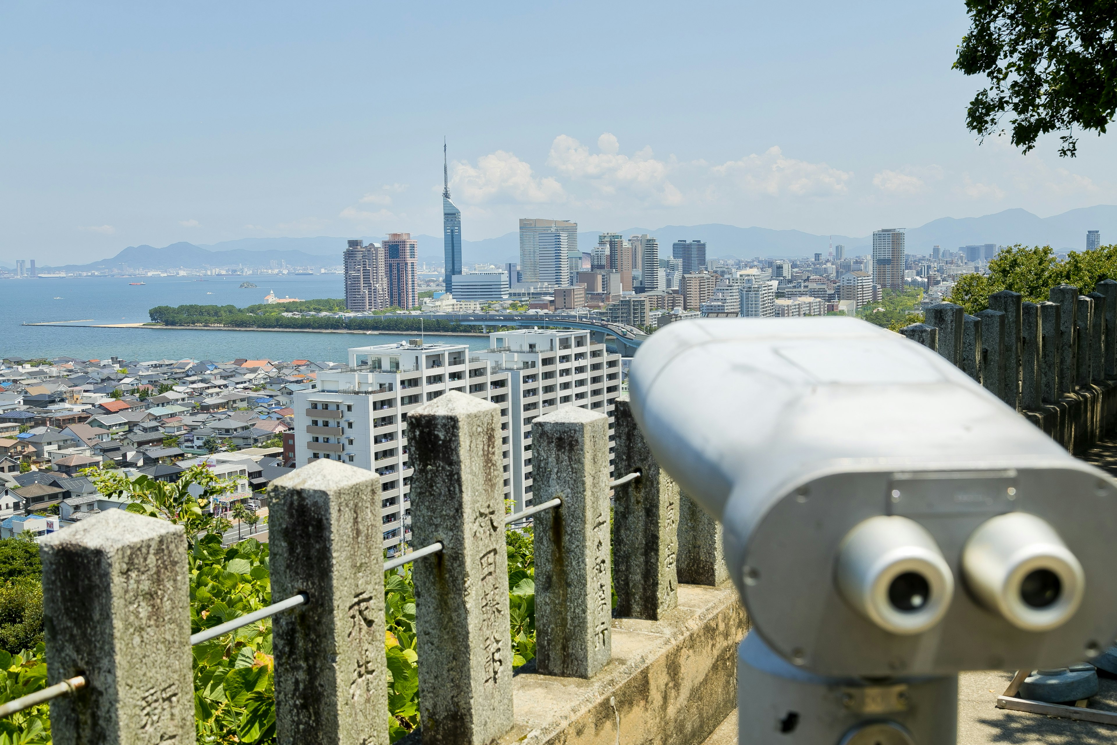 展望台からの都市景観とスカイツリーの眺め