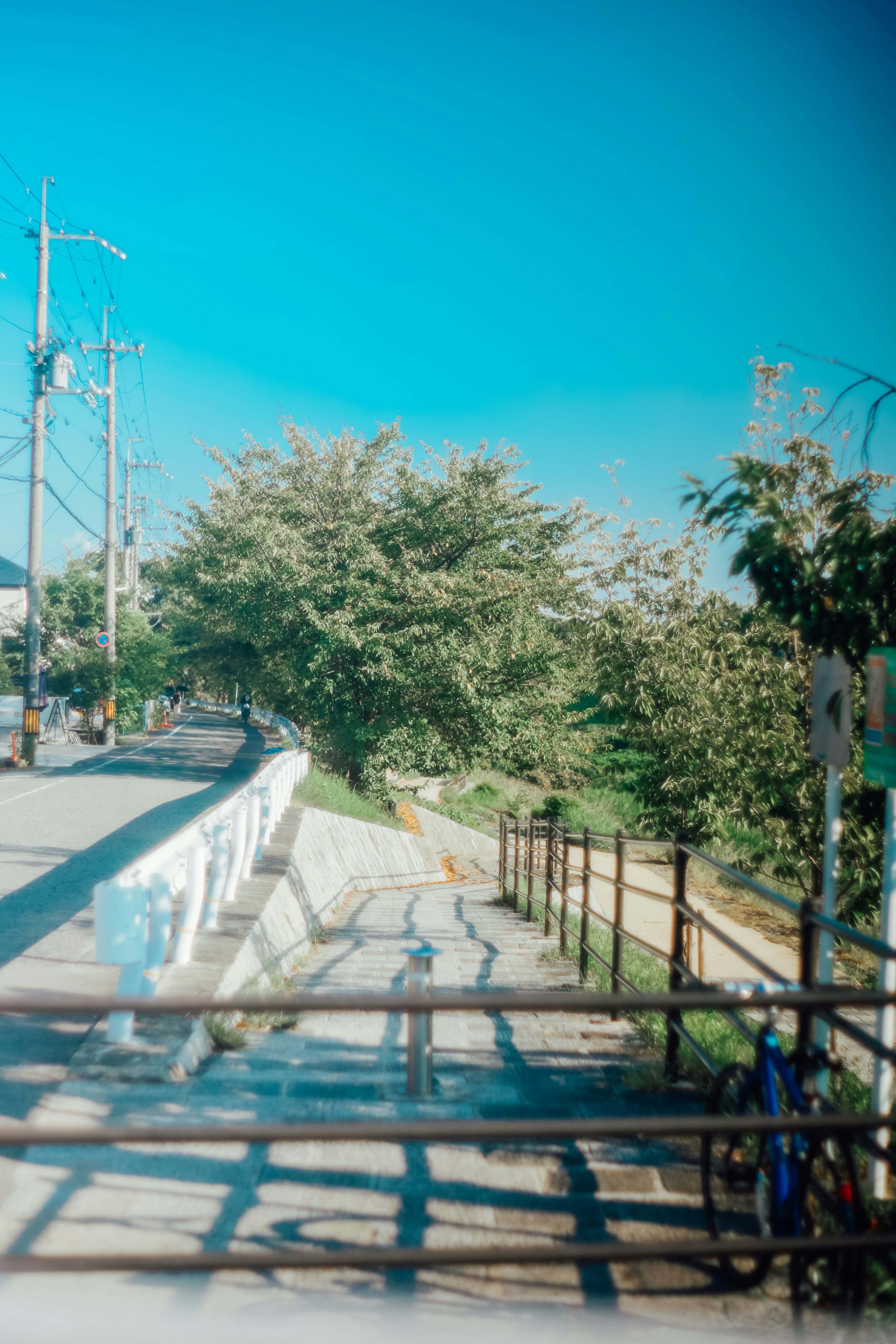 Scenic pathway with trees under a blue sky