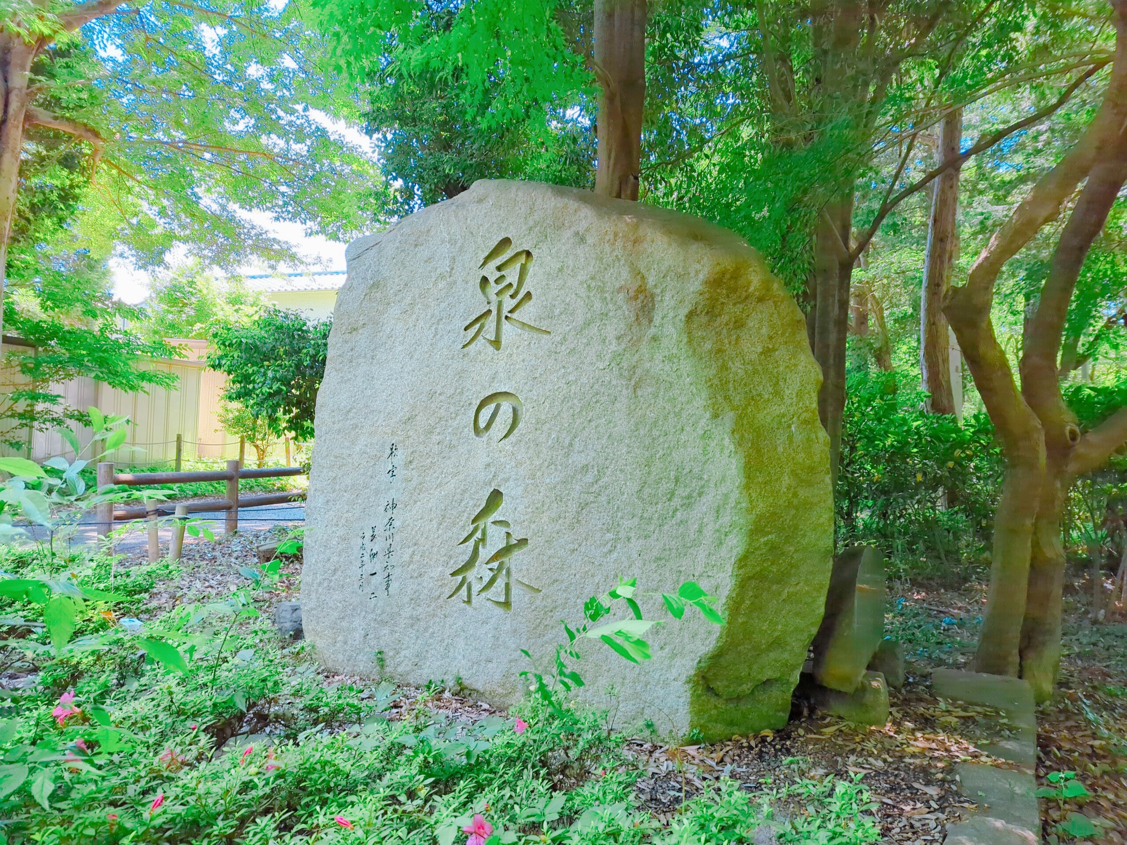 一塊被綠色植物包圍的大石頭，上面刻有字符