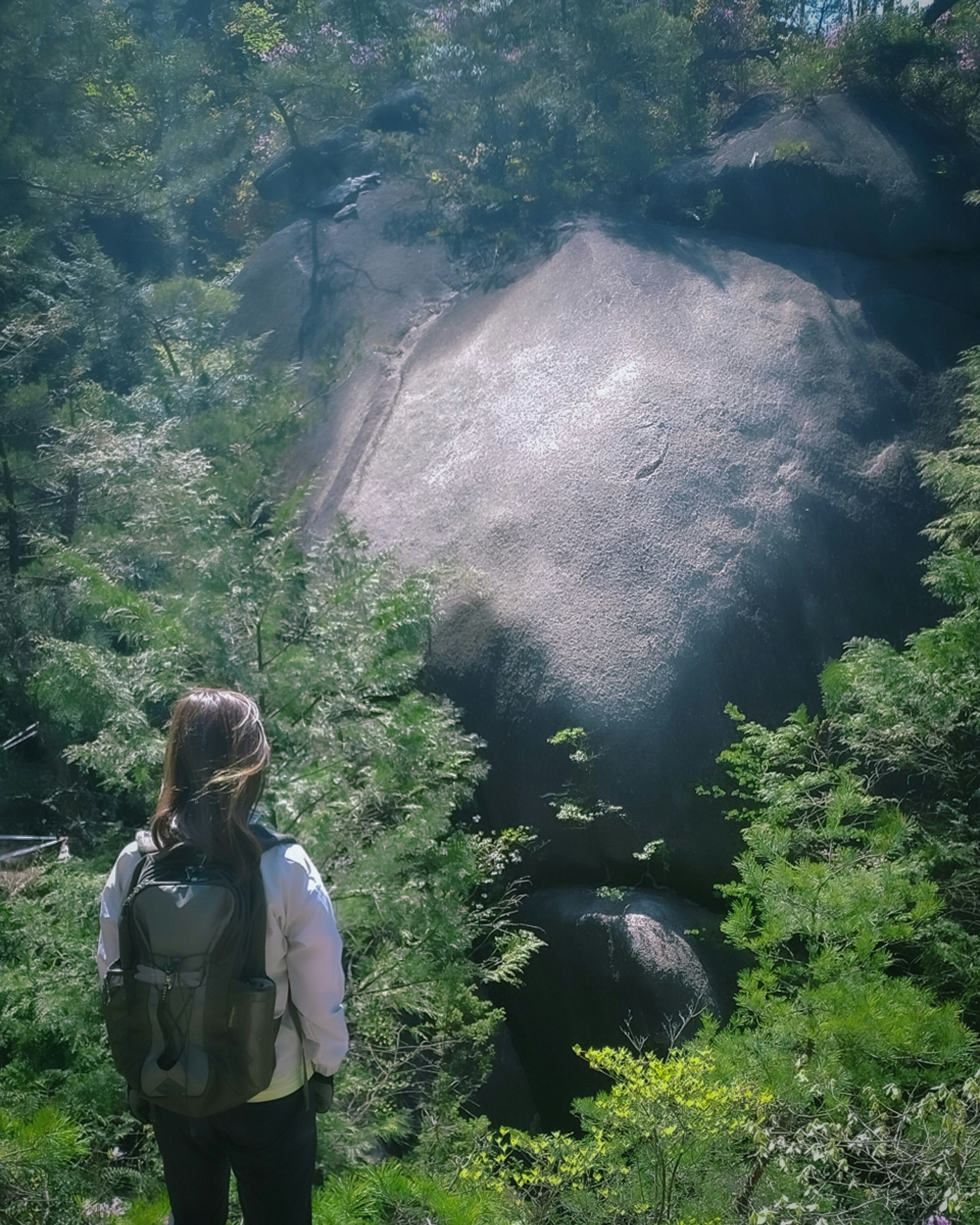 Wanderer, der einen großen Felsen umgeben von grünen Bäumen in einer natürlichen Landschaft betrachtet