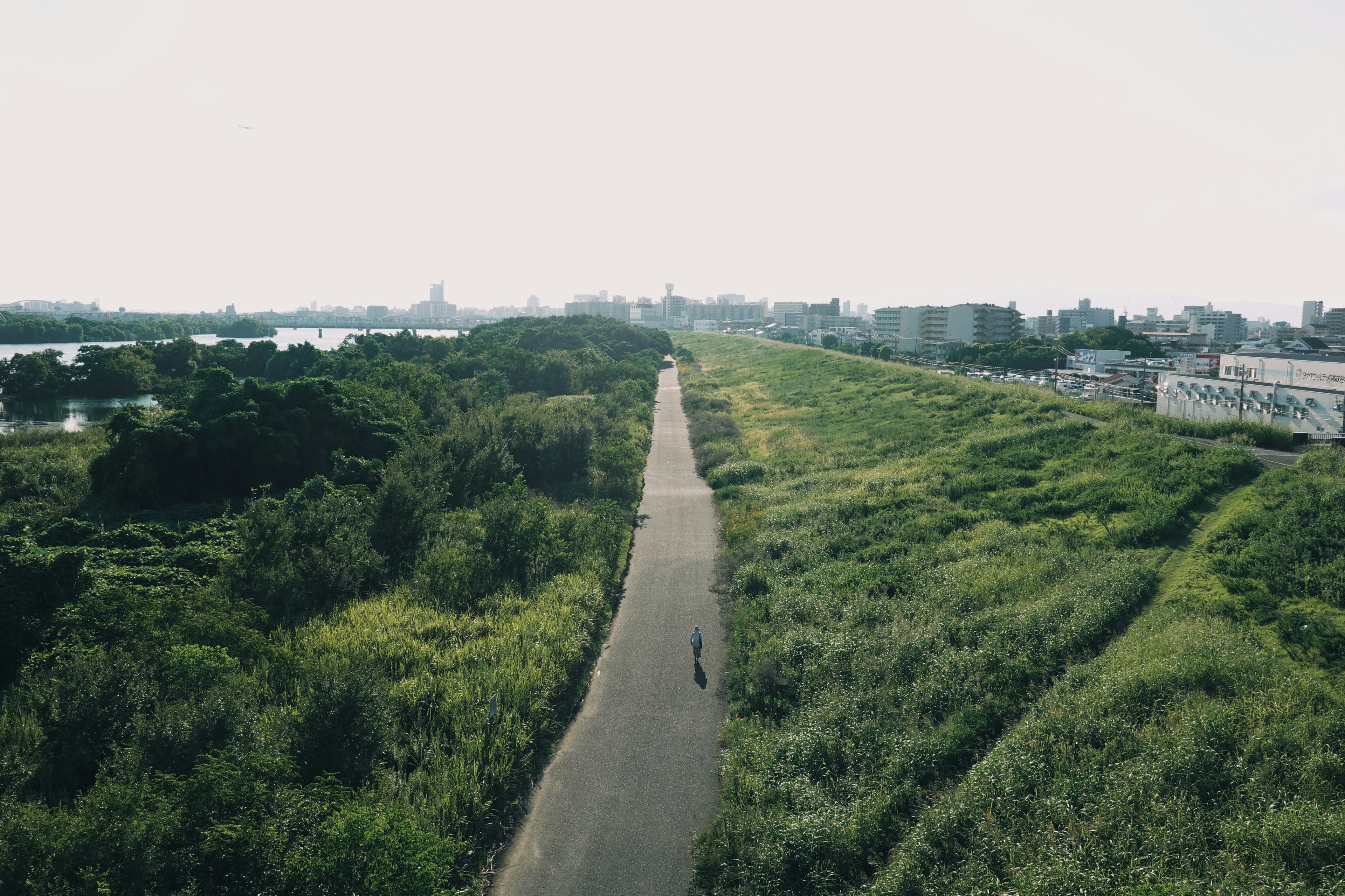 緑に囲まれた舗装された道と遠くの都市の景色