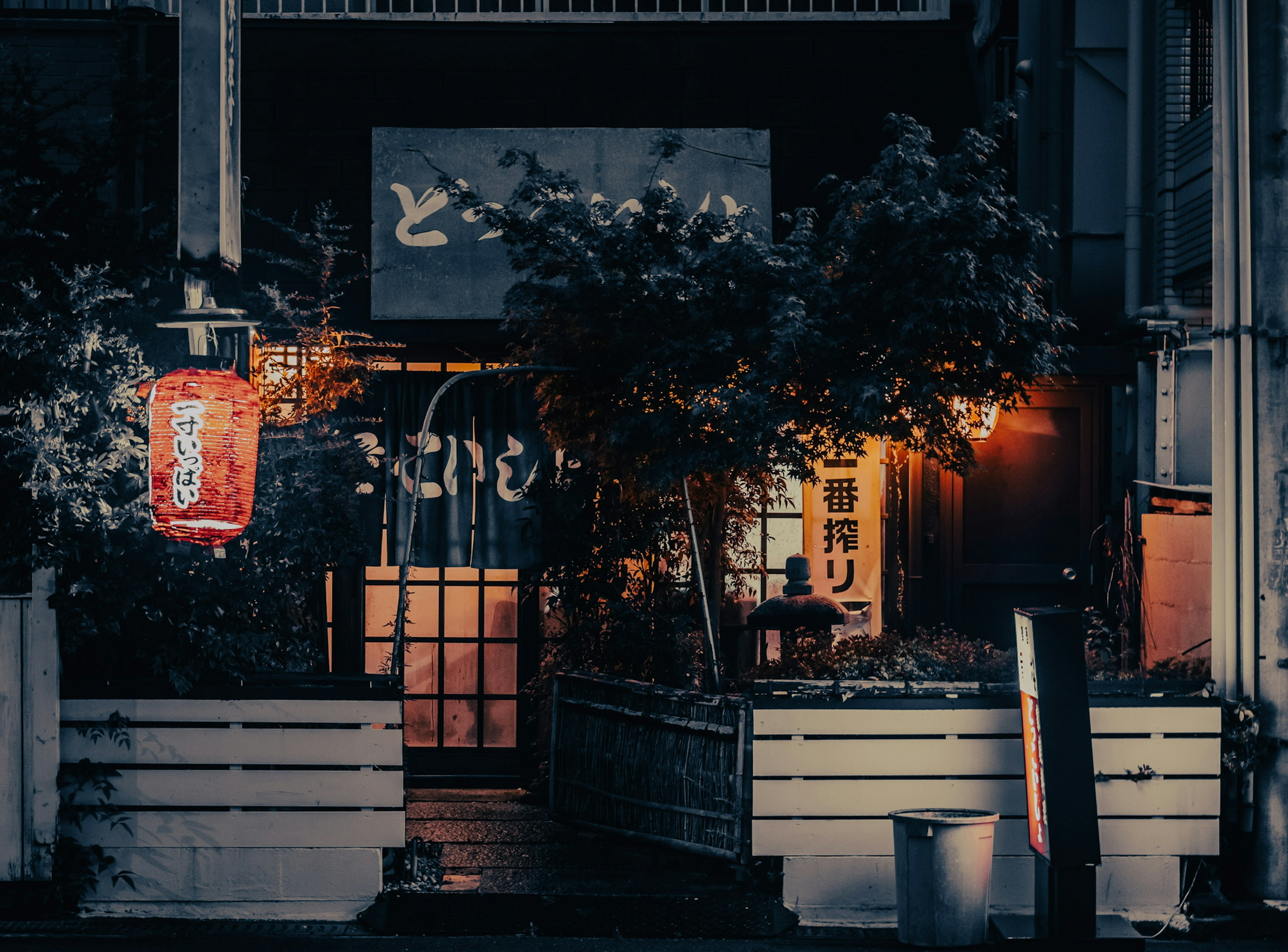 Exterior of a Japanese izakaya illuminated at night featuring a red lantern and lush greenery