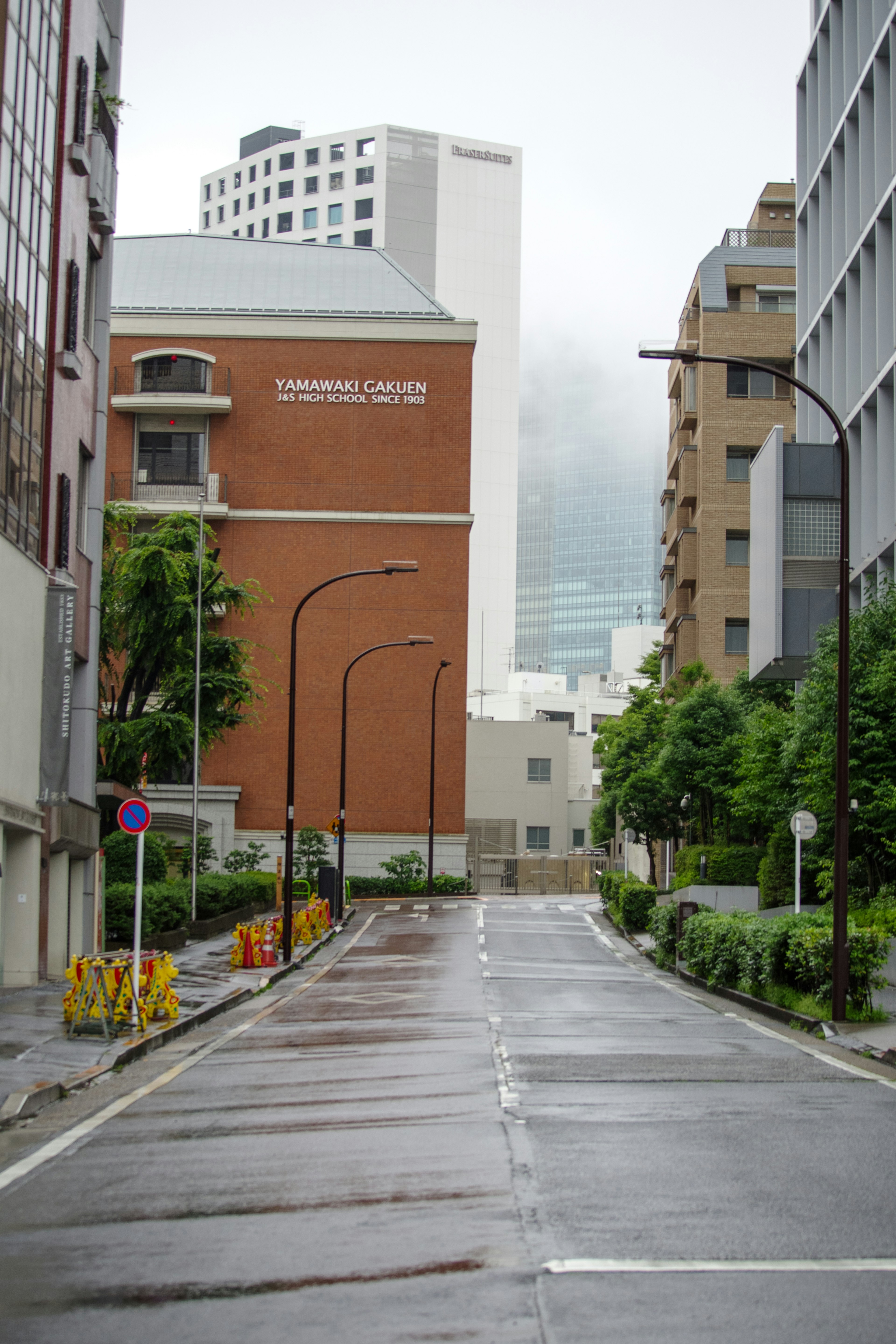 雨后安静的街道场景有建筑和绿色树木