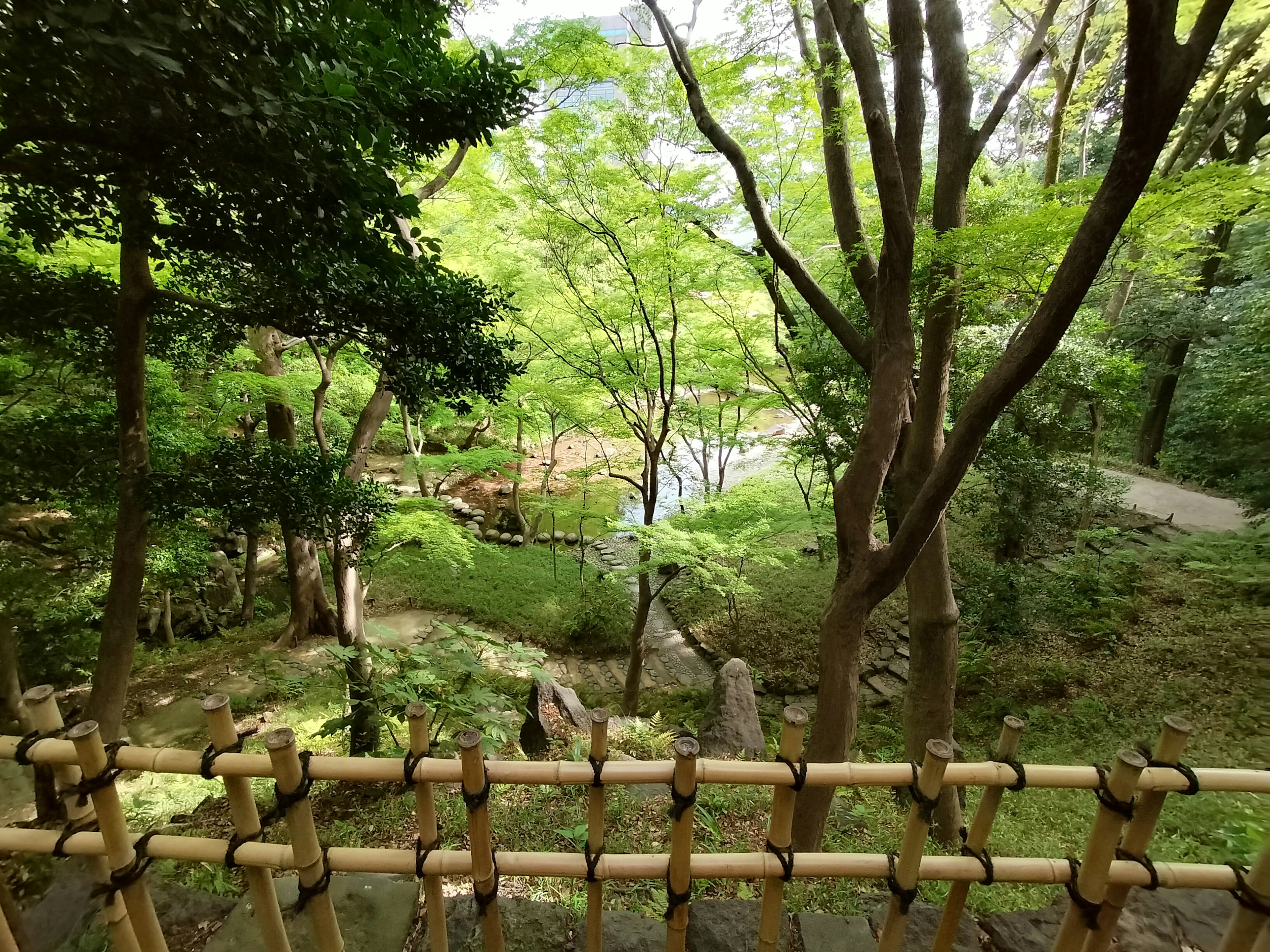 Vista di un giardino lussureggiante con recinzione in bambù in primo piano e un laghetto tranquillo sullo sfondo