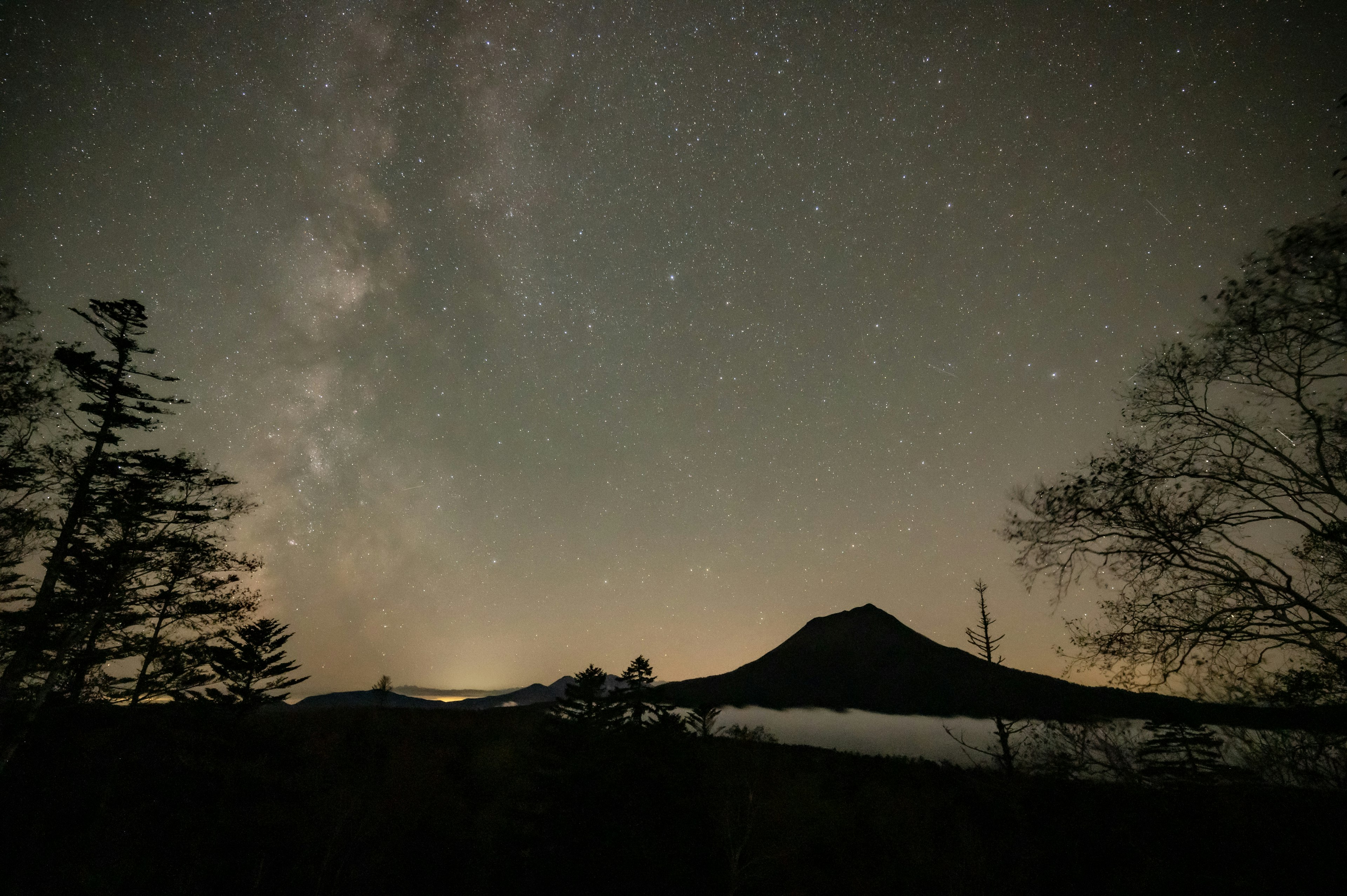 Silhouette di una montagna e alberi sotto un cielo stellato