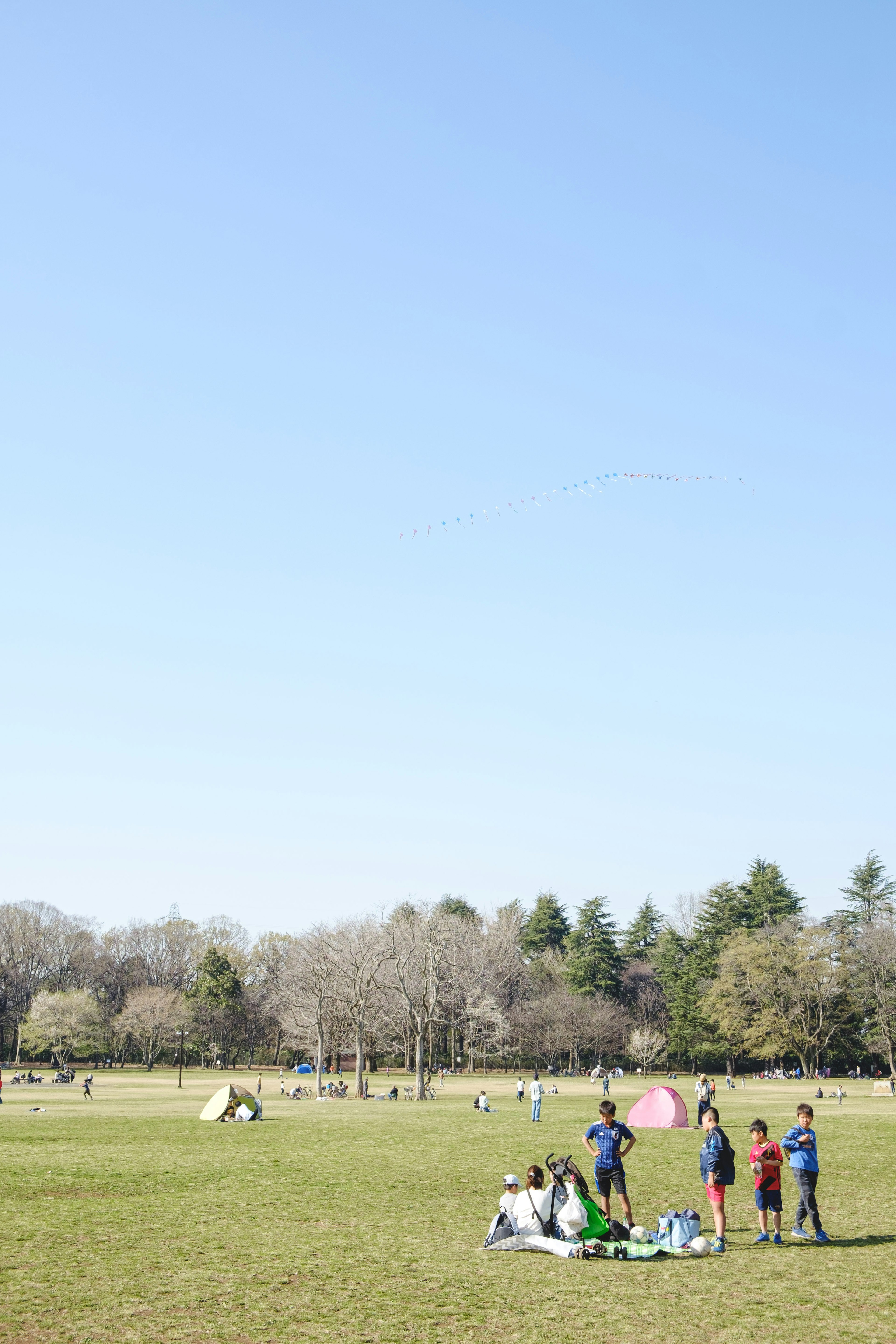 Gathering of children and families under a blue sky green grass and camping tents