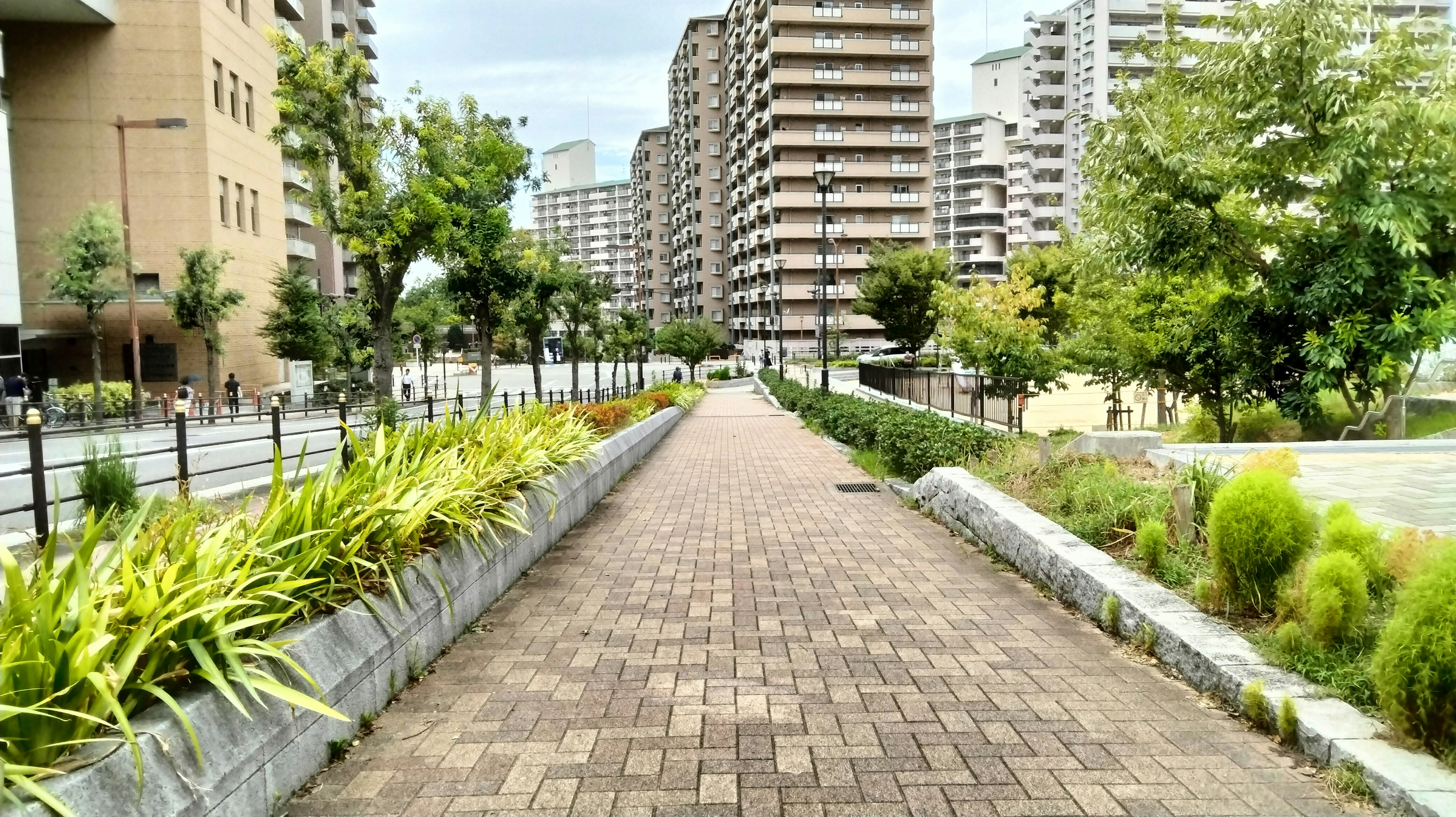 A lush pathway lined with greenery and tall buildings in the background