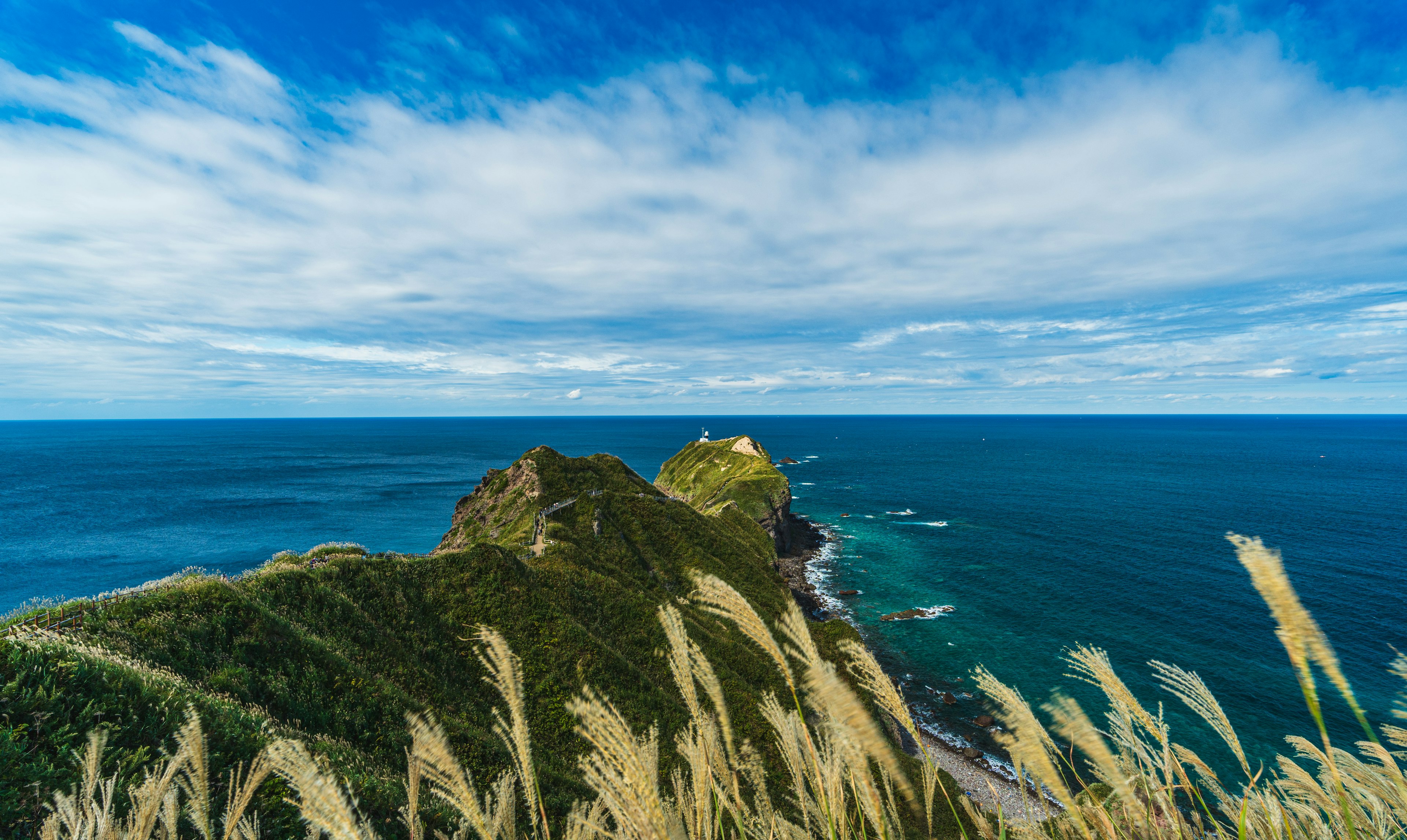 青い海と空を背景にした緑の丘と草原の風景