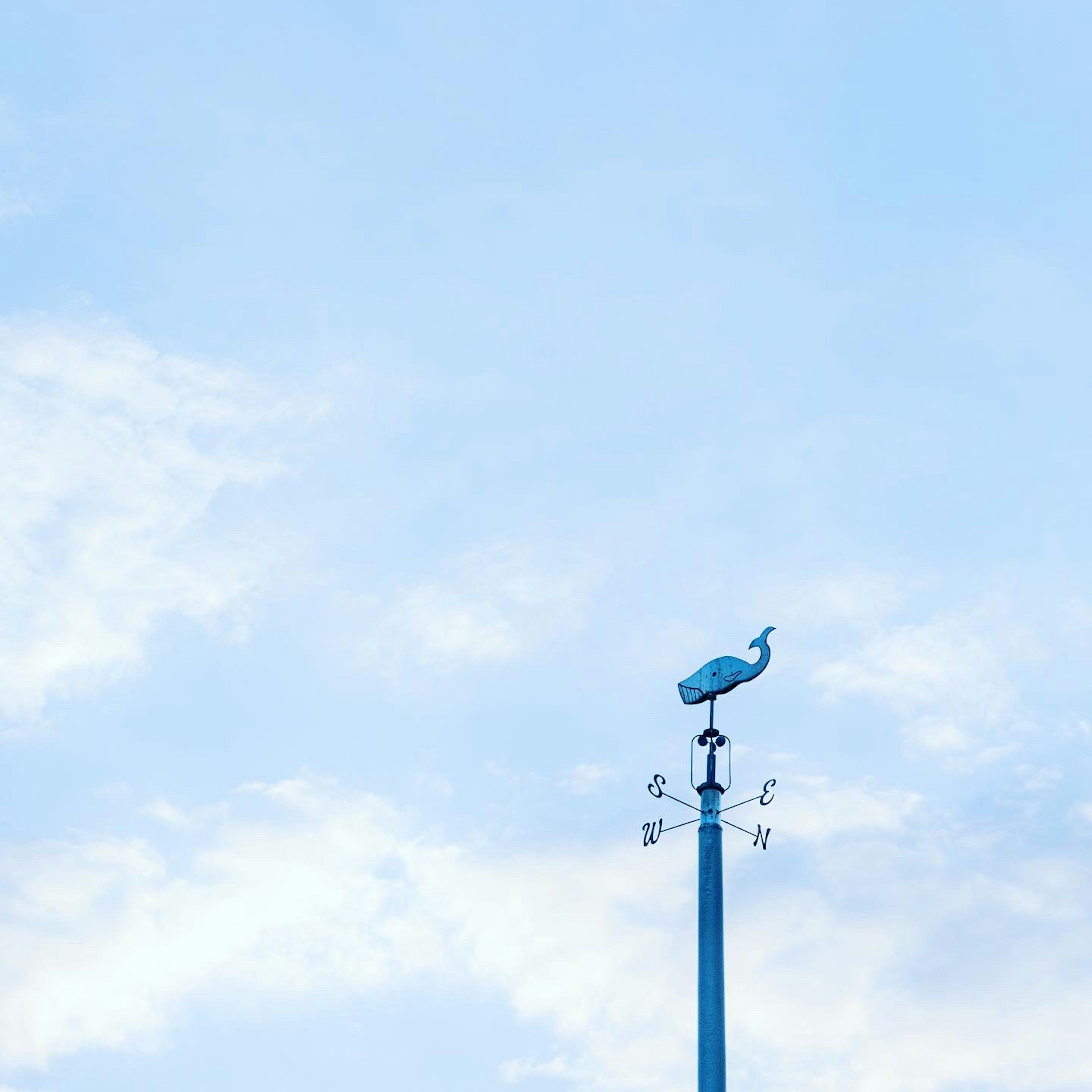 Blaue Wetterfahne in Form eines Vogels vor klarem Himmel