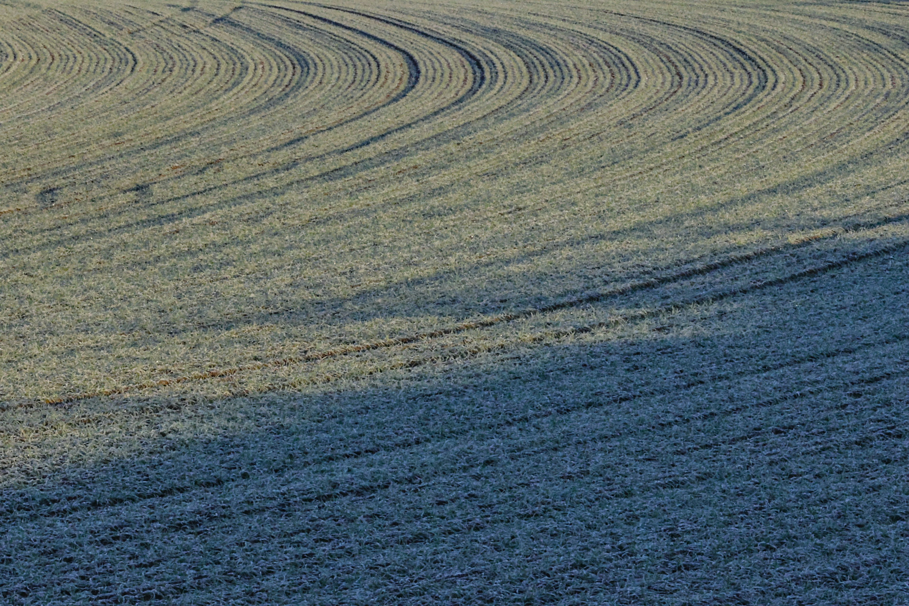 Pola melengkung dari ladang biru dengan bayangan