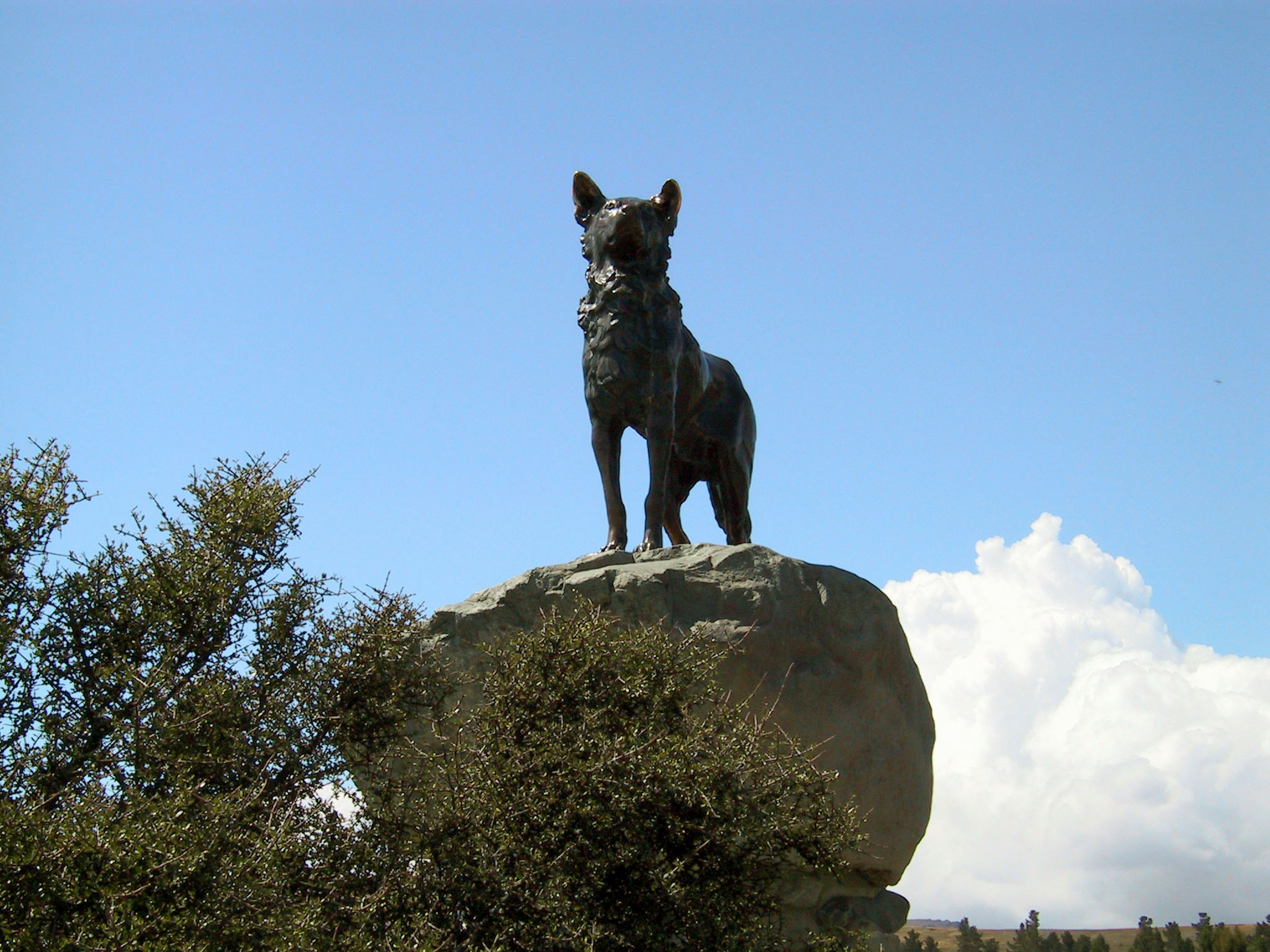 Statue en bronze d'un chien debout sur un rocher avec un ciel bleu et des nuages blancs en arrière-plan