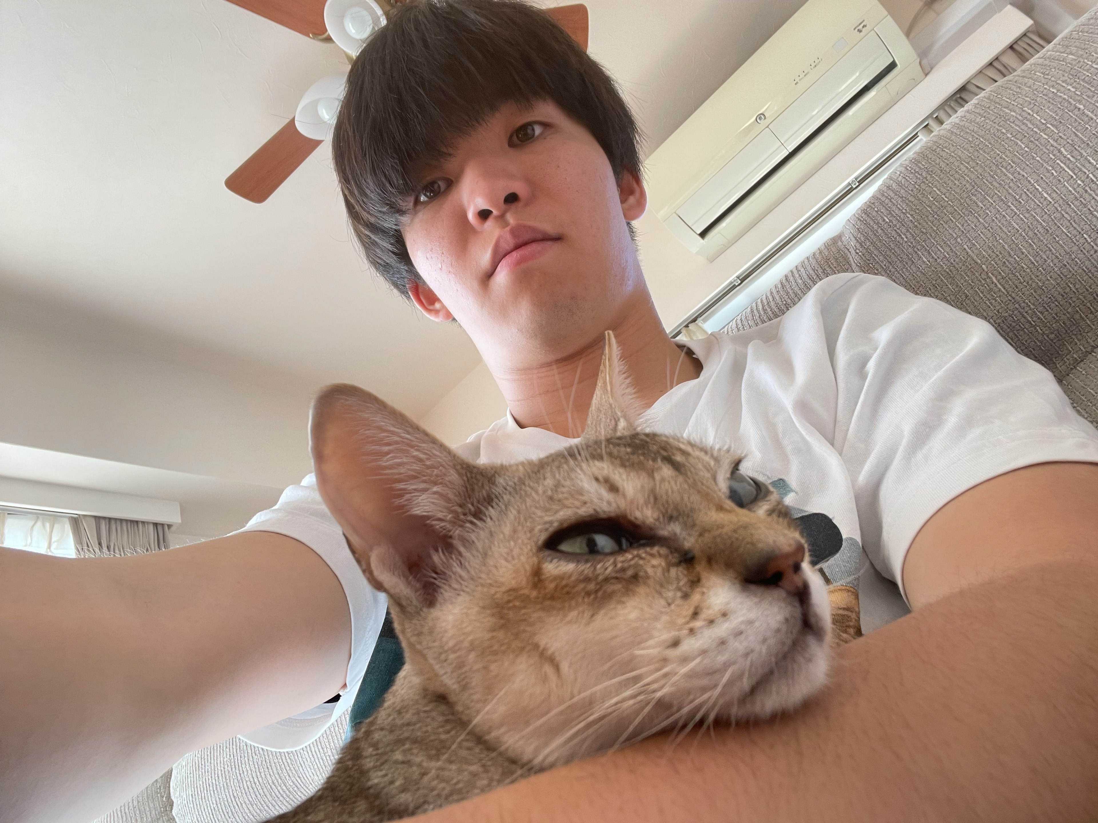 猫を抱いている若い男性の自撮り