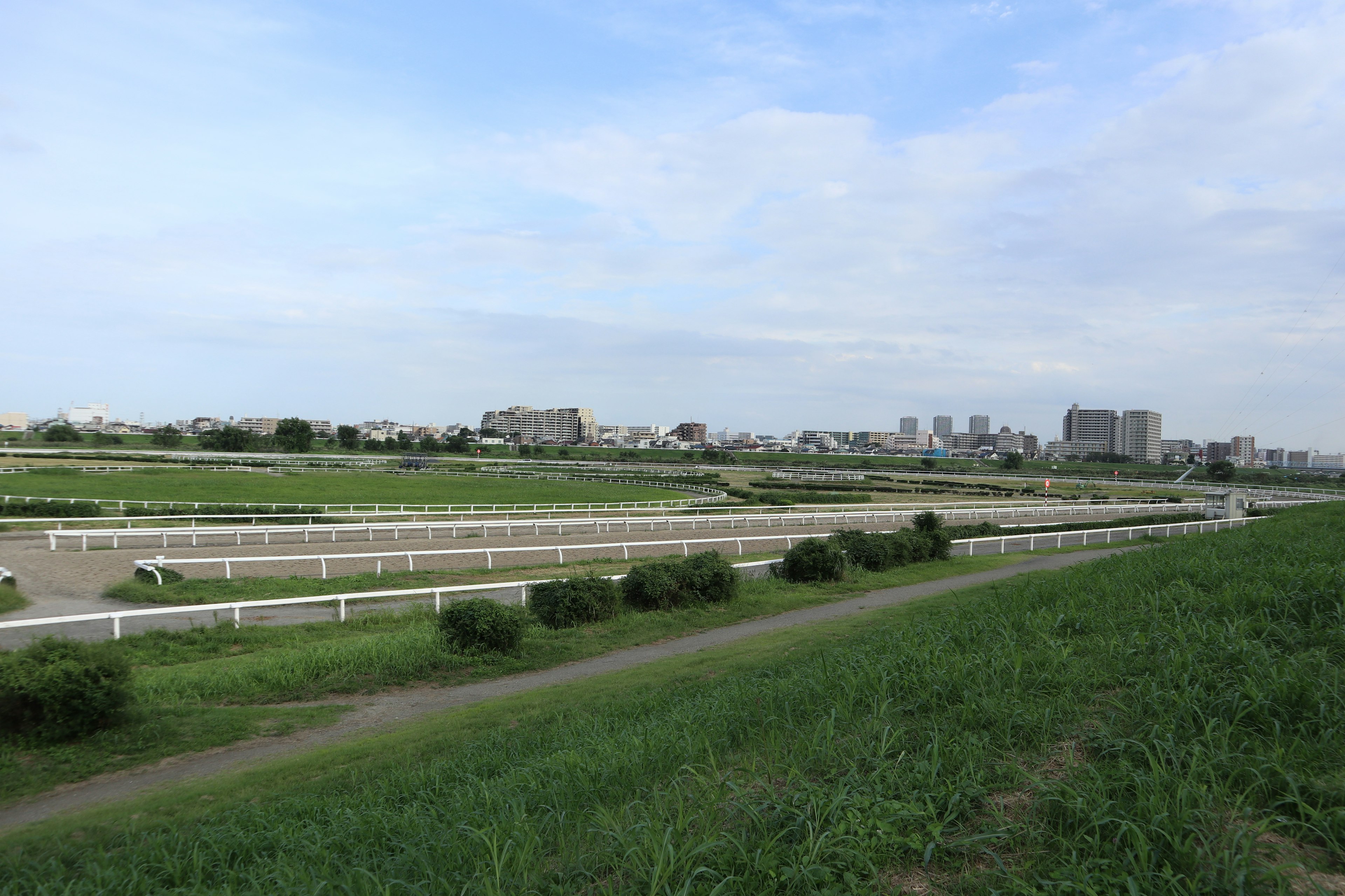 Expansive grassy area with visible horse racing track and city skyline in the background