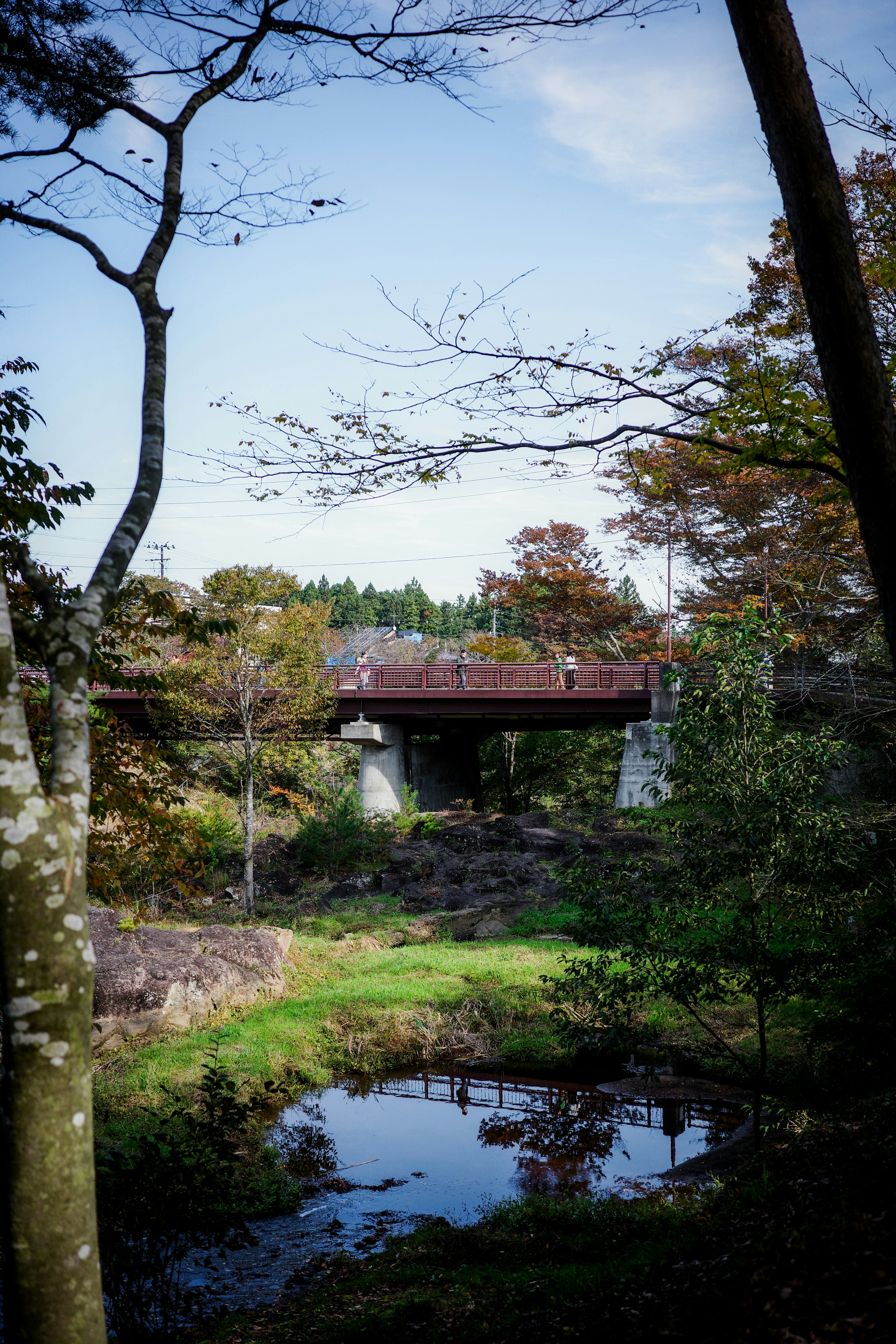 美しい自然の中にある橋と池の風景