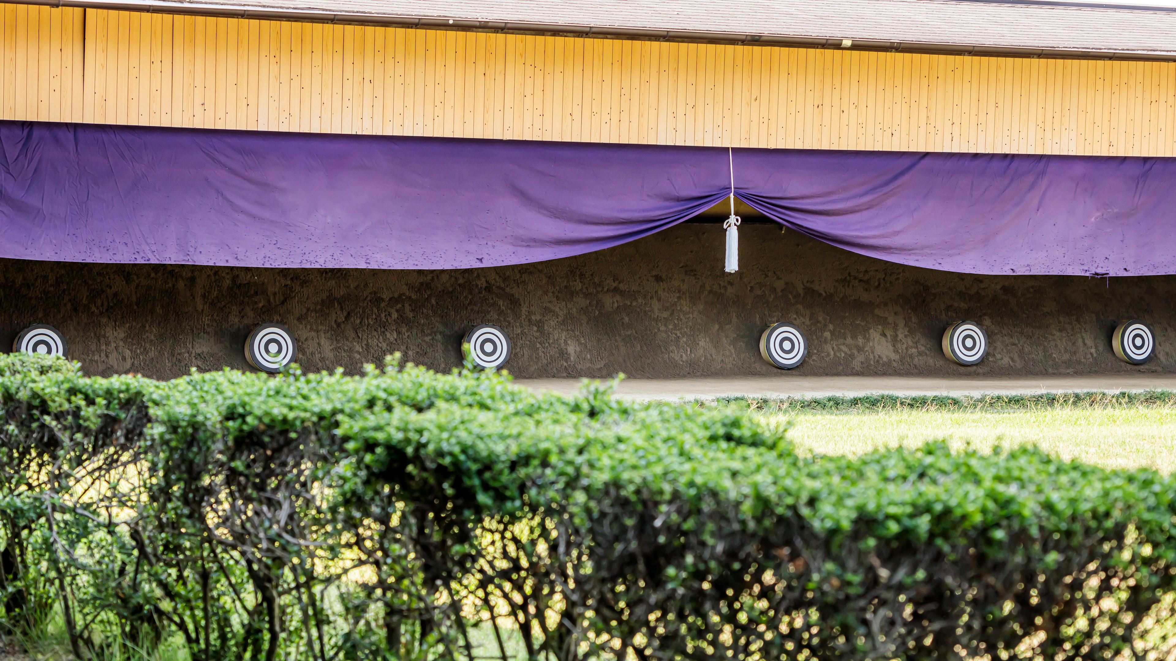 Mur drapé en violet avec des cibles alignées devant