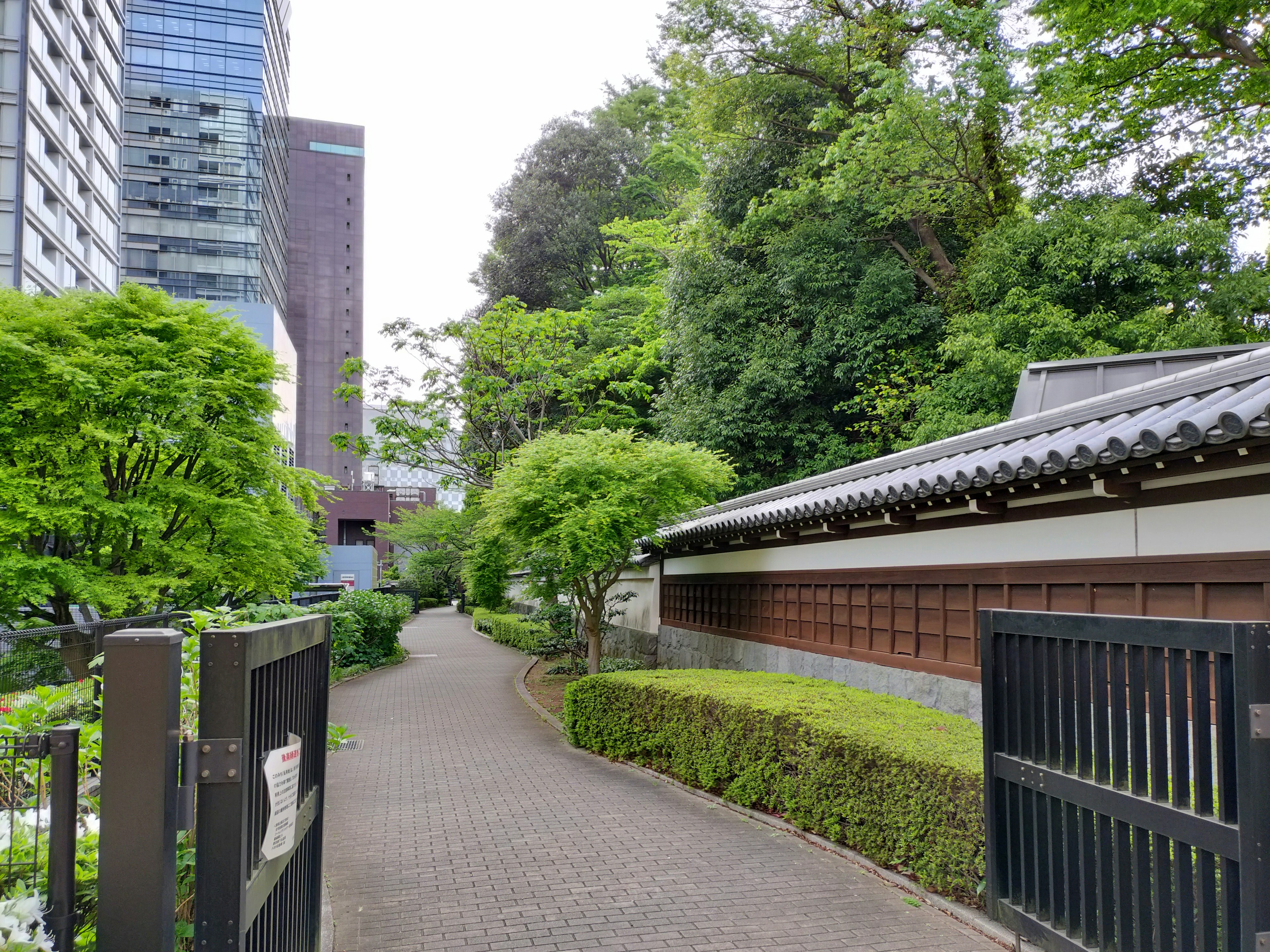 郁郁葱葱的小路与传统日本建筑和绿色植物