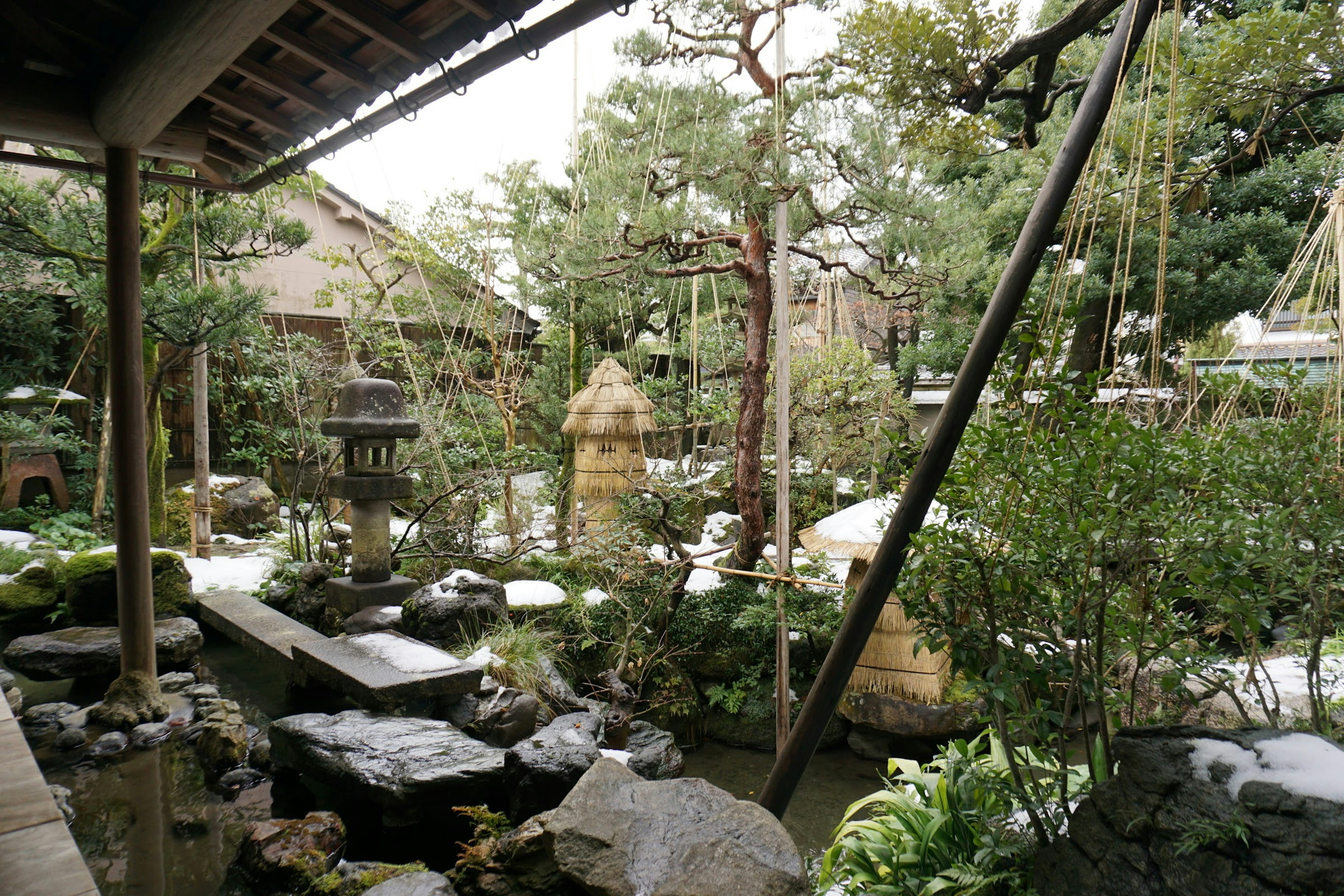 静かな日本庭園の風景緑豊かな植物と岩の池が特徴