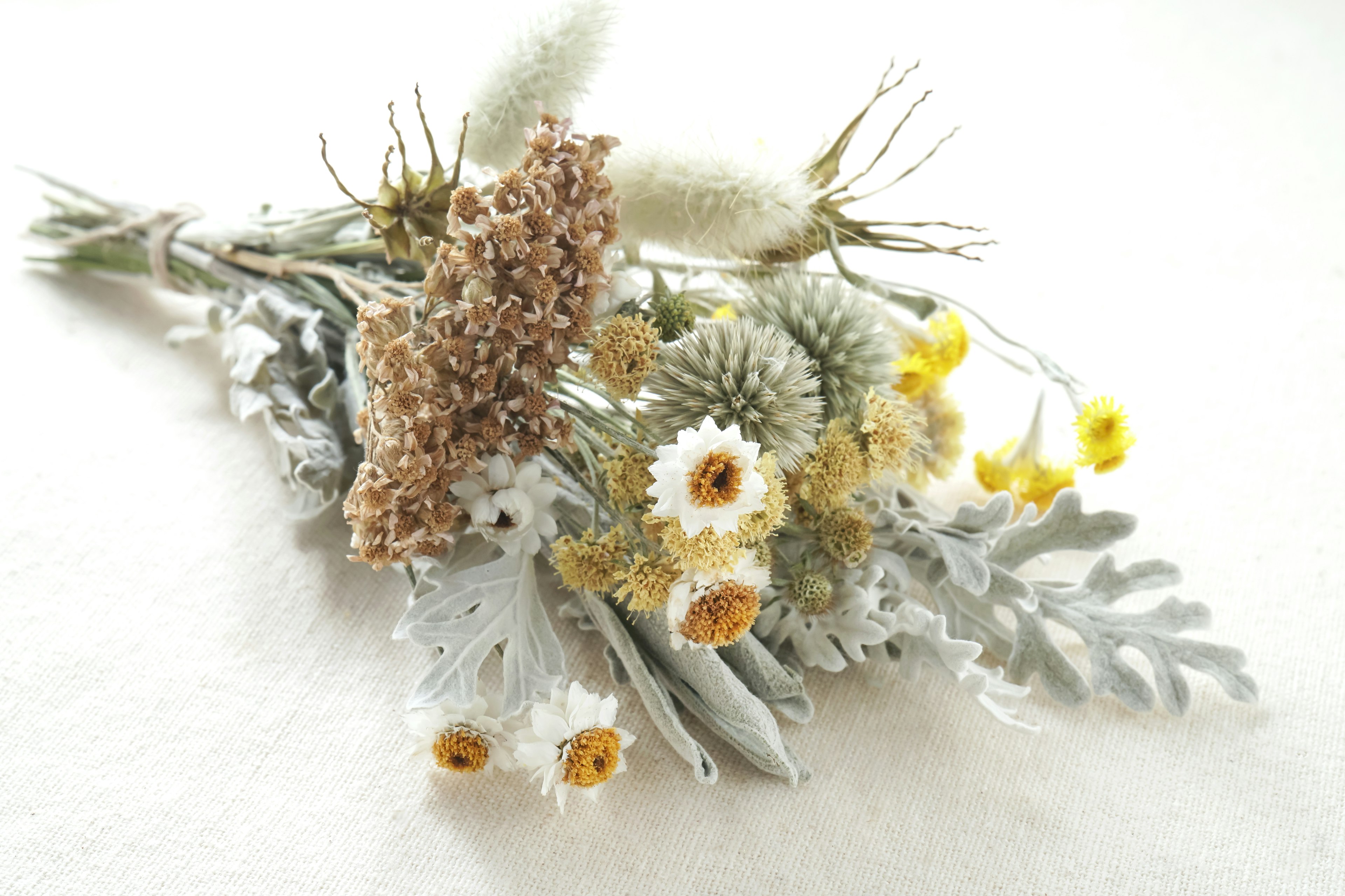 A bouquet of various dried flowers on a white background