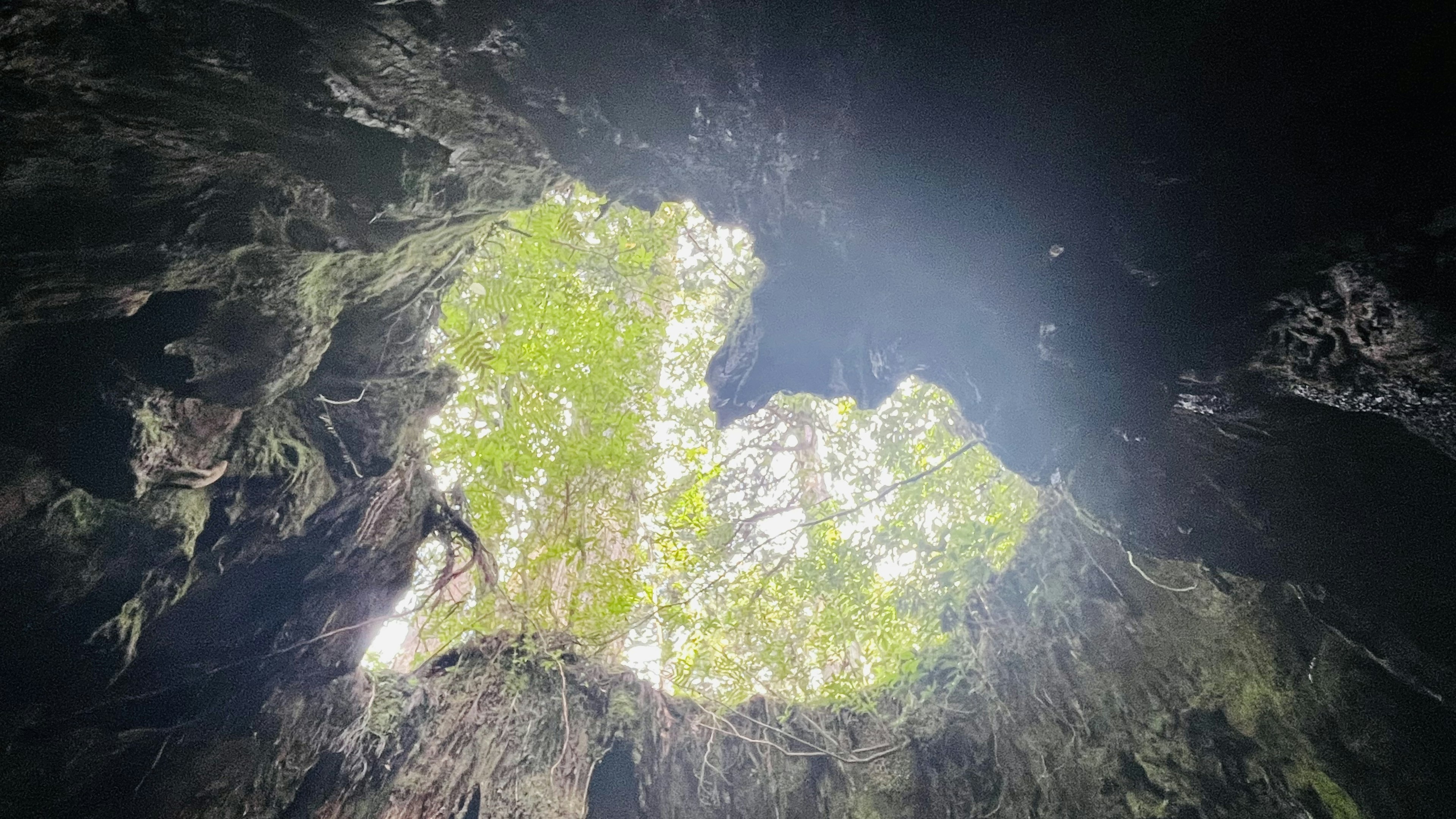 Lush green island illuminated by natural light from cave opening