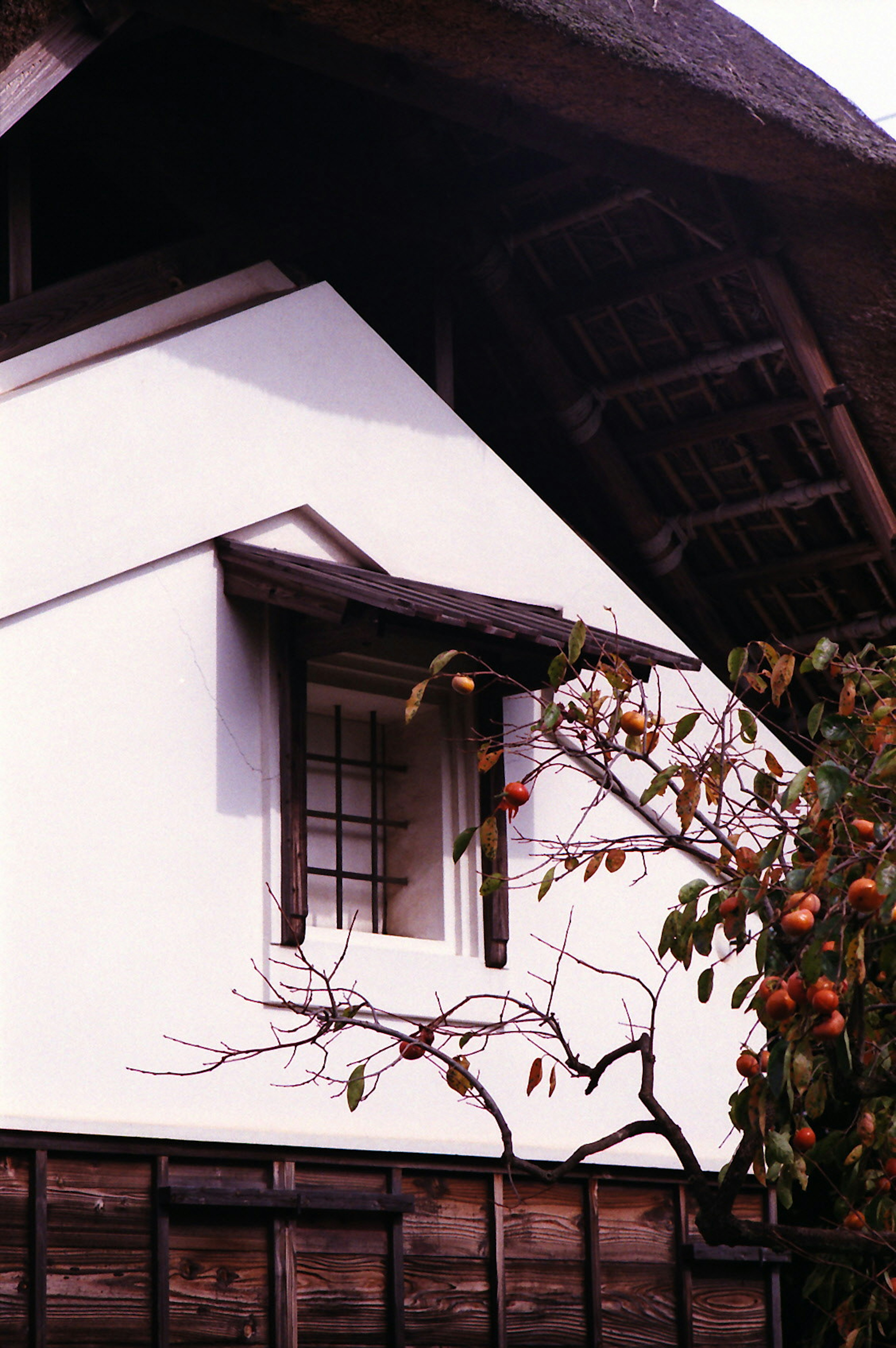 Part of a traditional Japanese house with white walls featuring a window and a tree branch