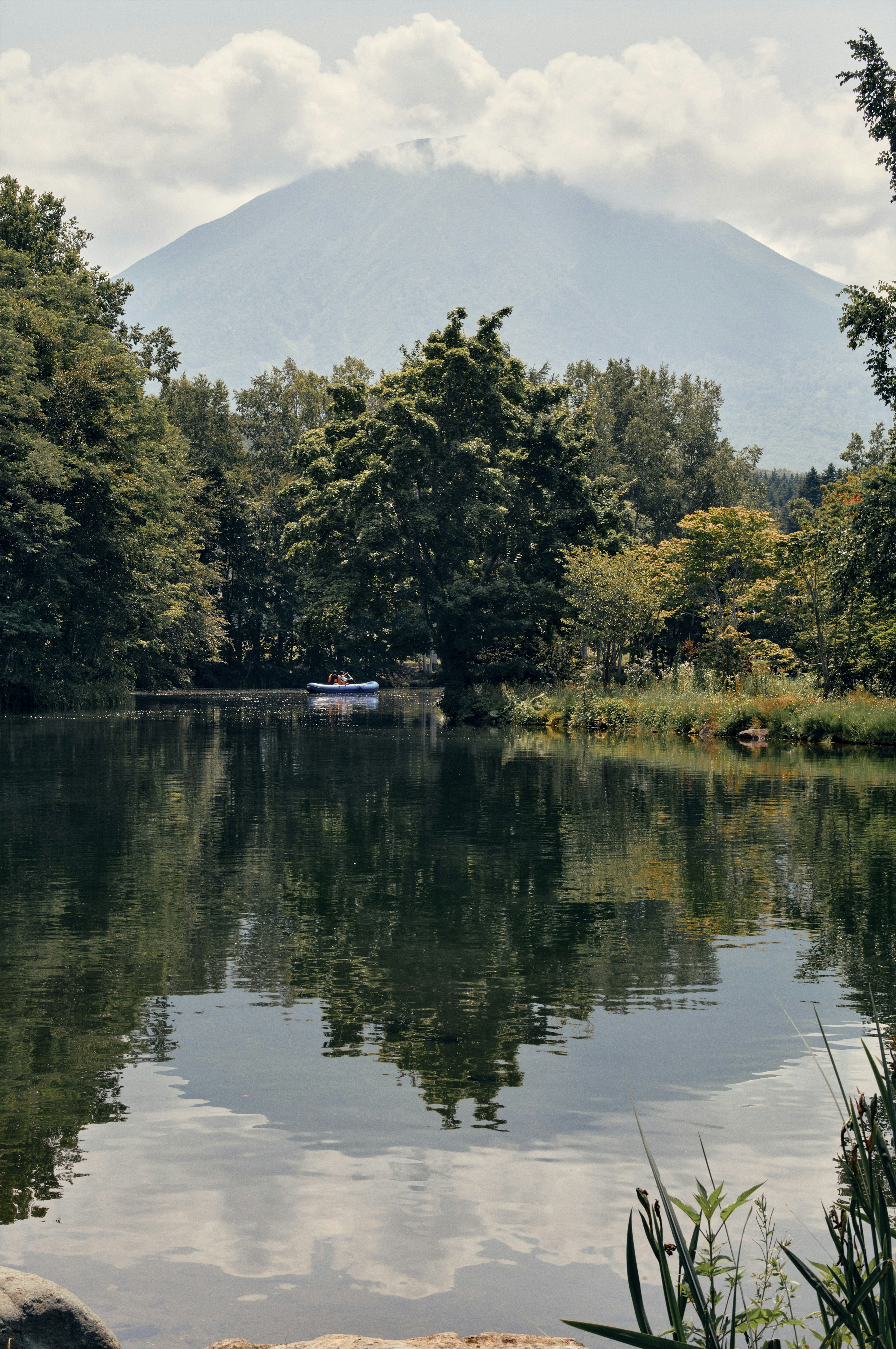 静かな湖とその反射の木々 背景には山が見える