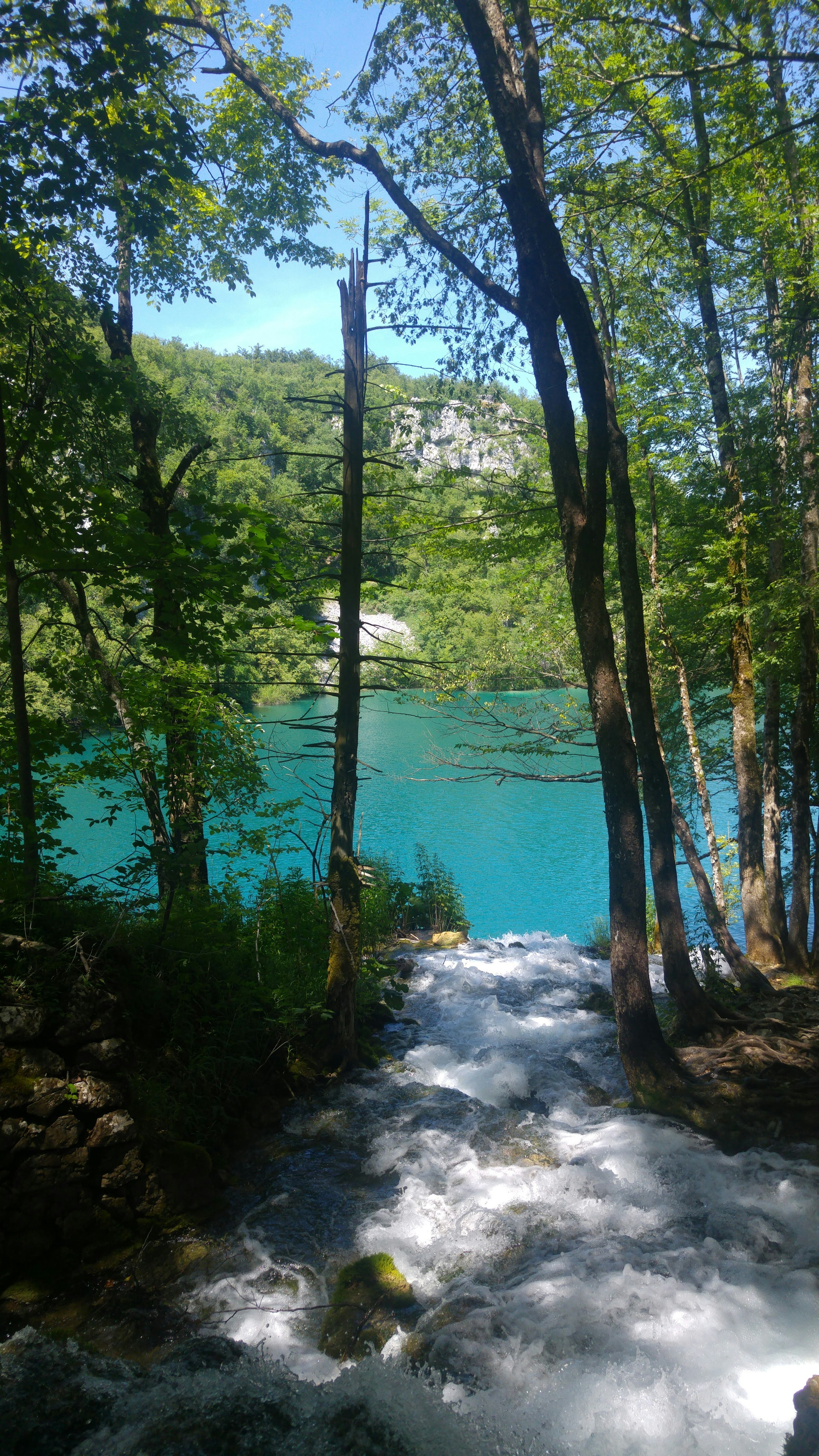 Vue pittoresque d'un lac turquoise entouré d'arbres verts luxuriants