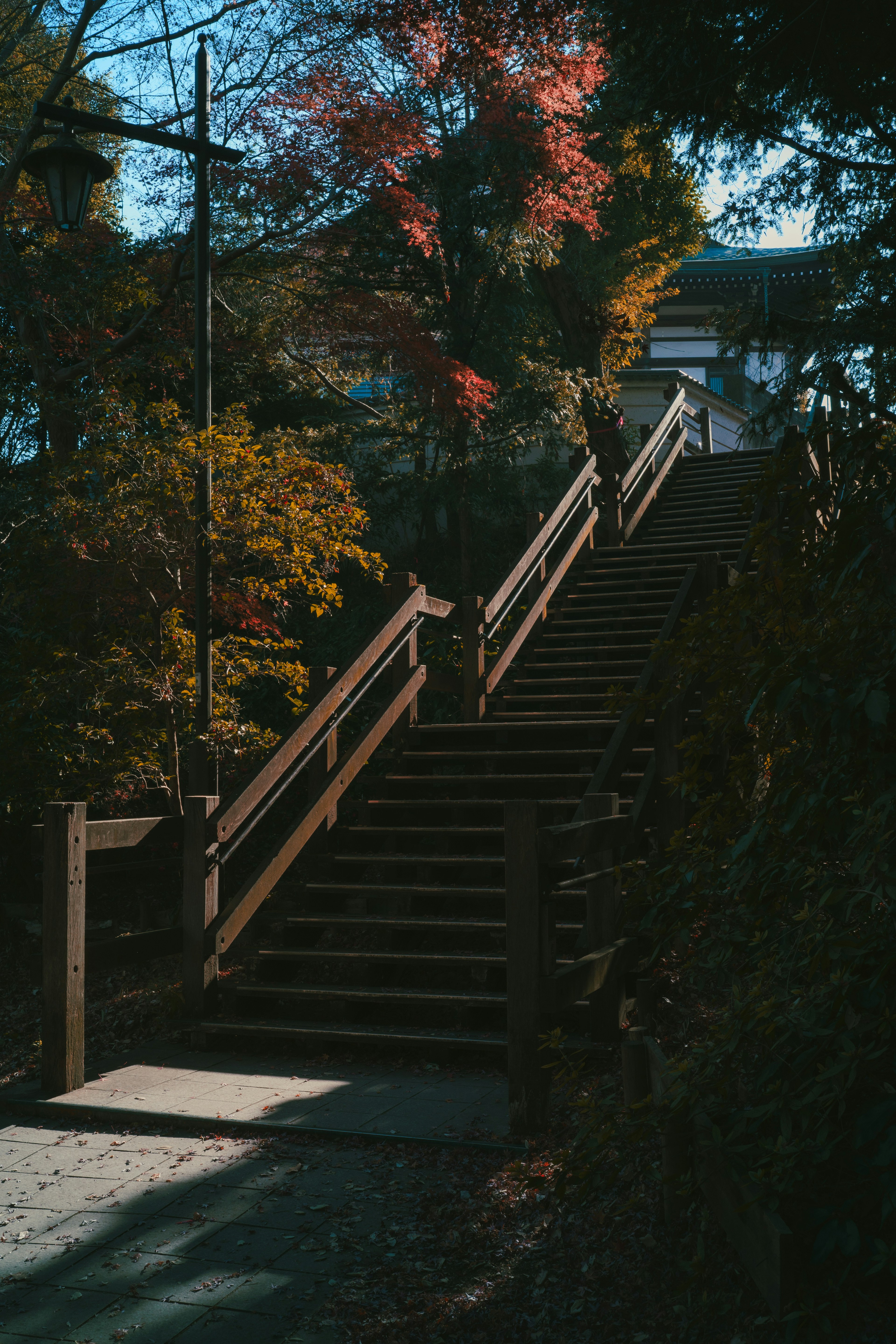 Wooden stairs surrounded by autumn foliage in a serene setting