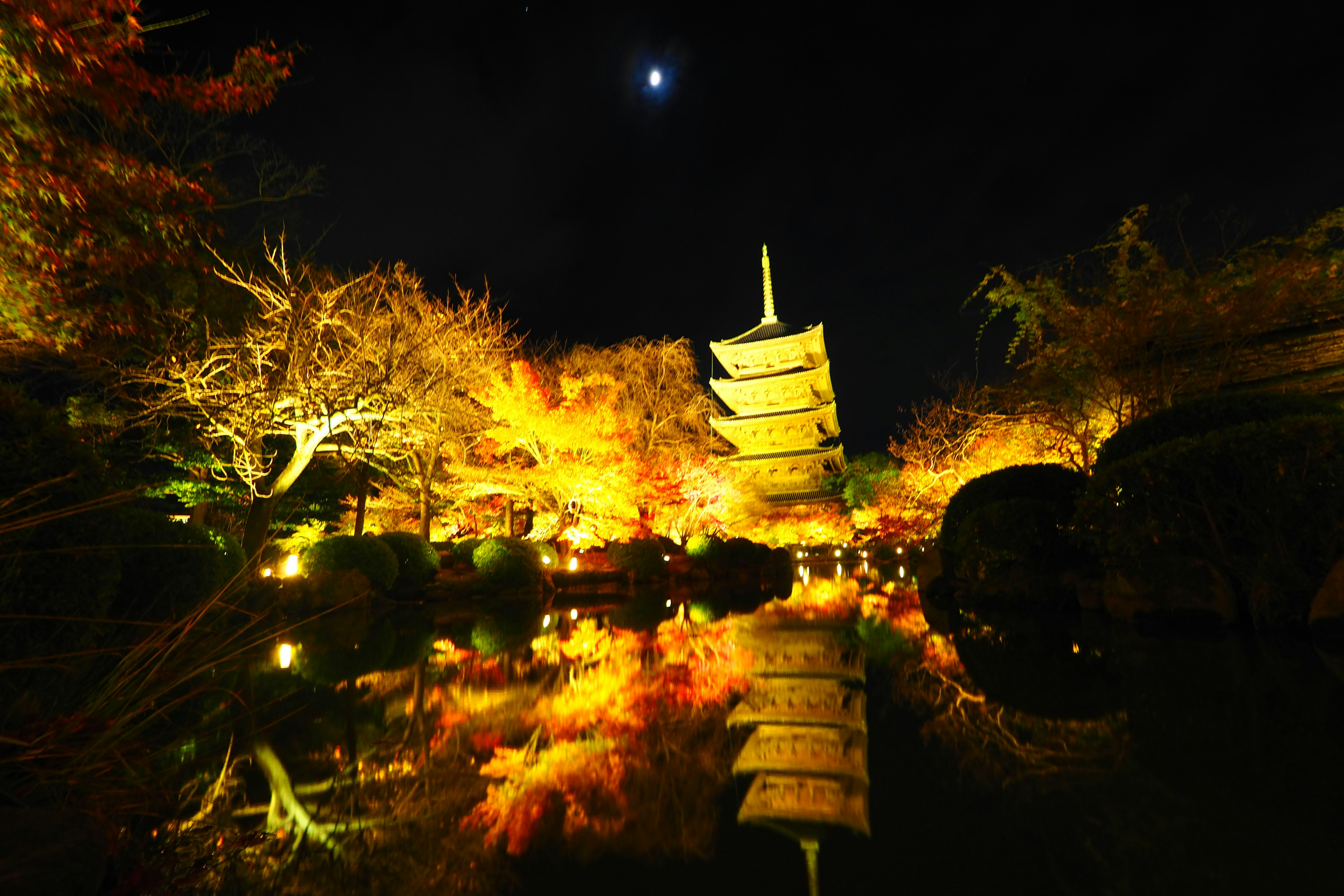 Hermosa vista de una pagoda rodeada de follaje otoñal por la noche