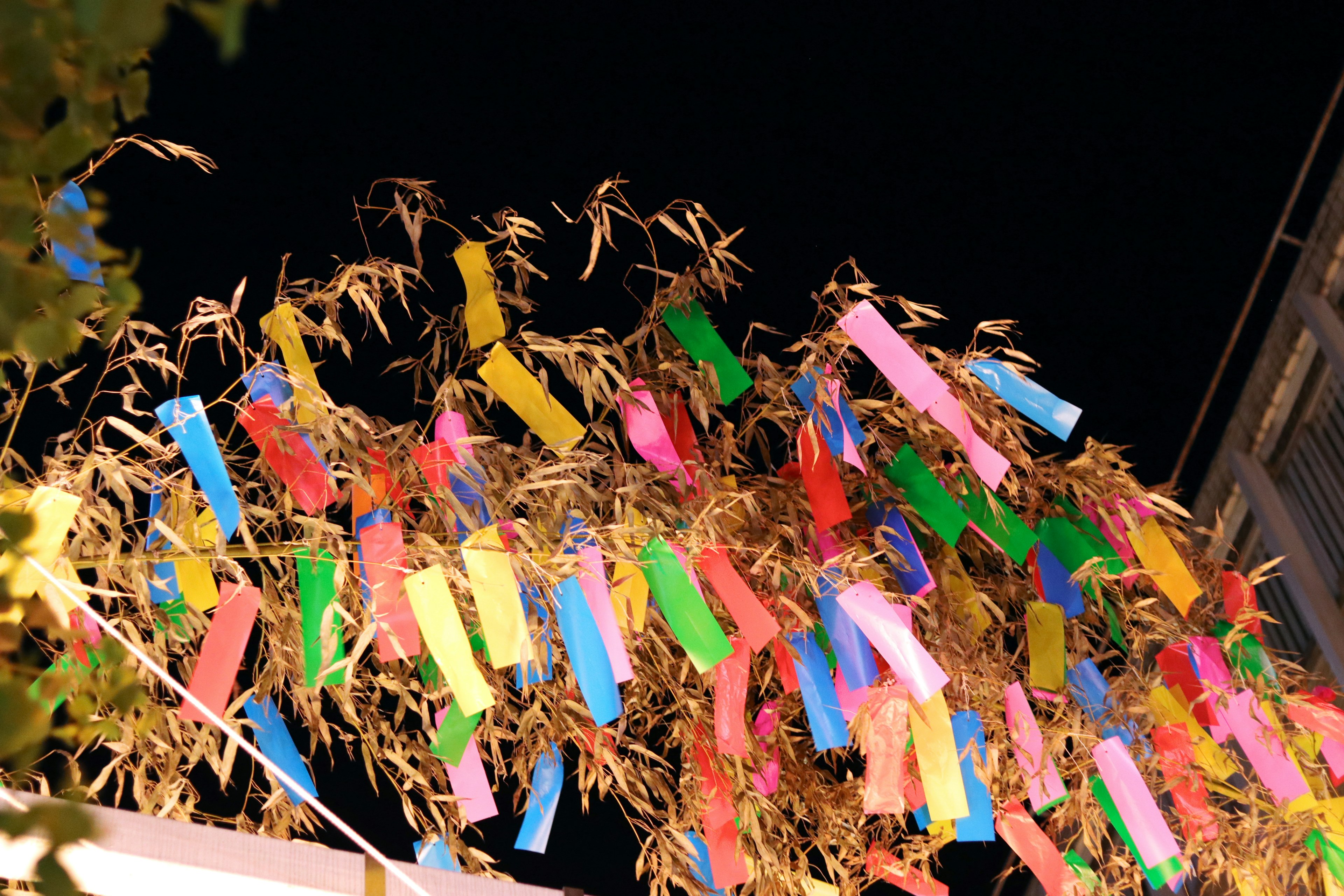 Tanzaku berwarna-warni dan cabang bambu dihias untuk Tanabata di langit malam