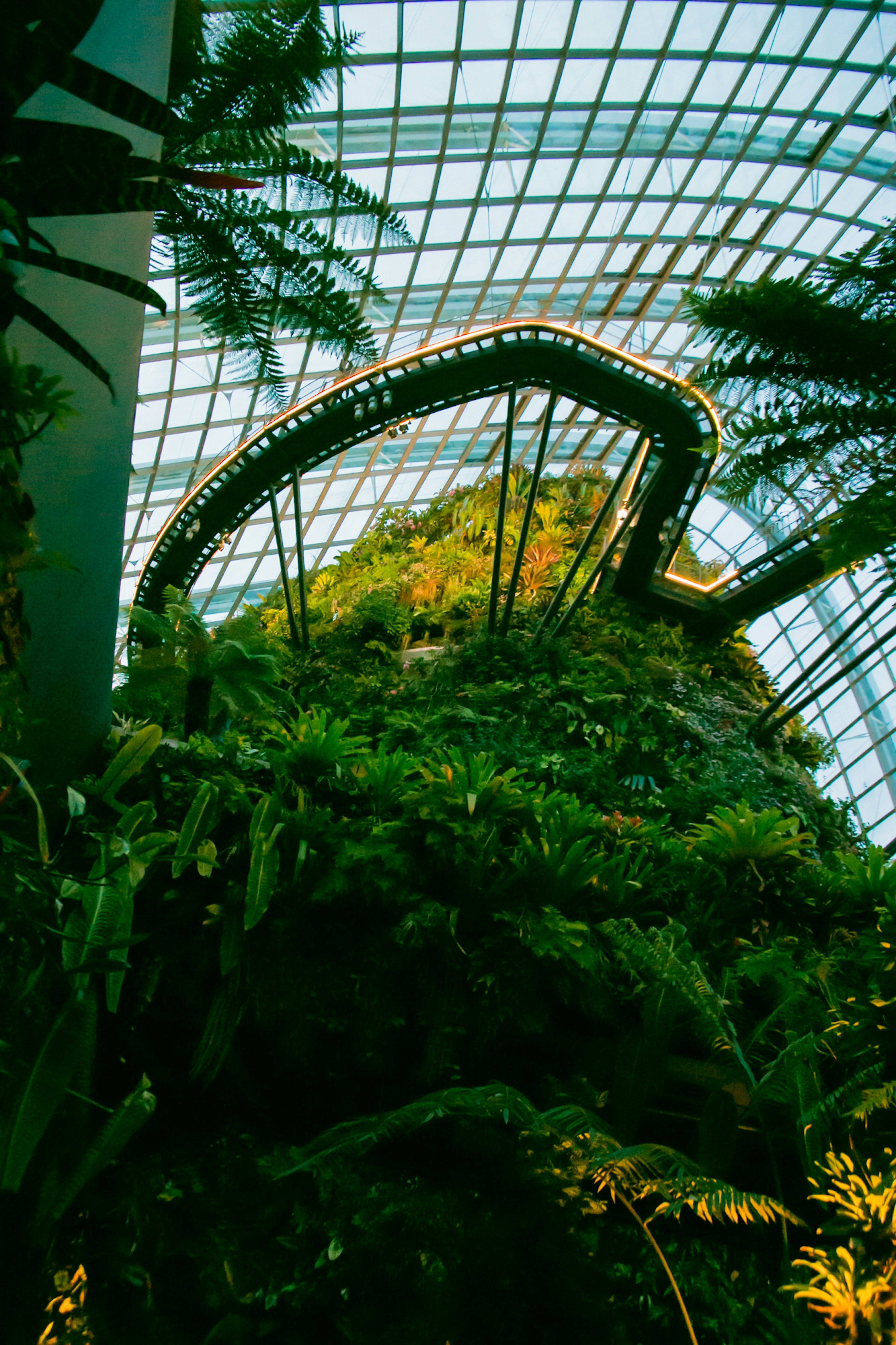 Interno di una serra con una cascata circondata da una vegetazione lussureggiante