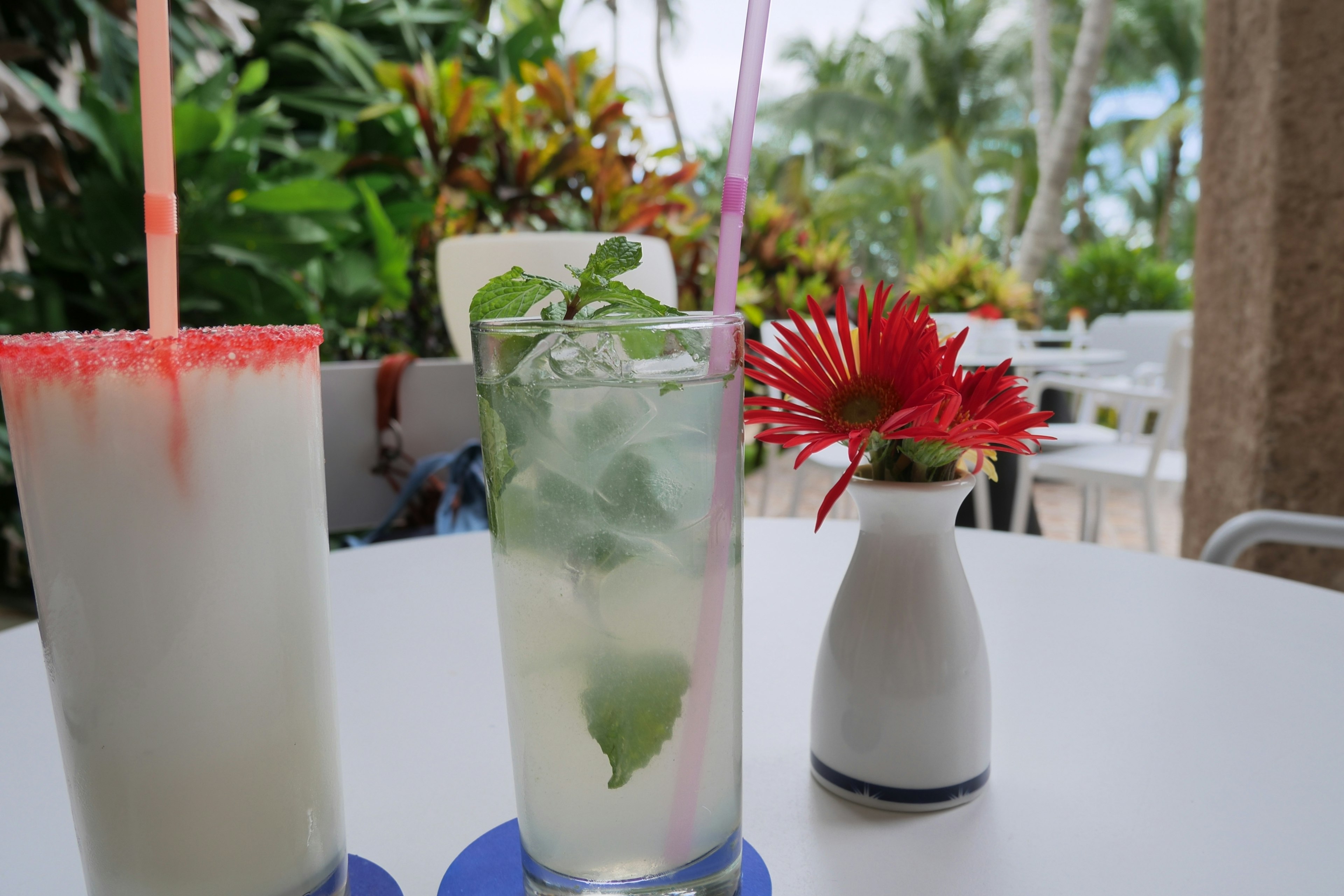 Bebidas coloridas sobre una mesa con vegetación de fondo