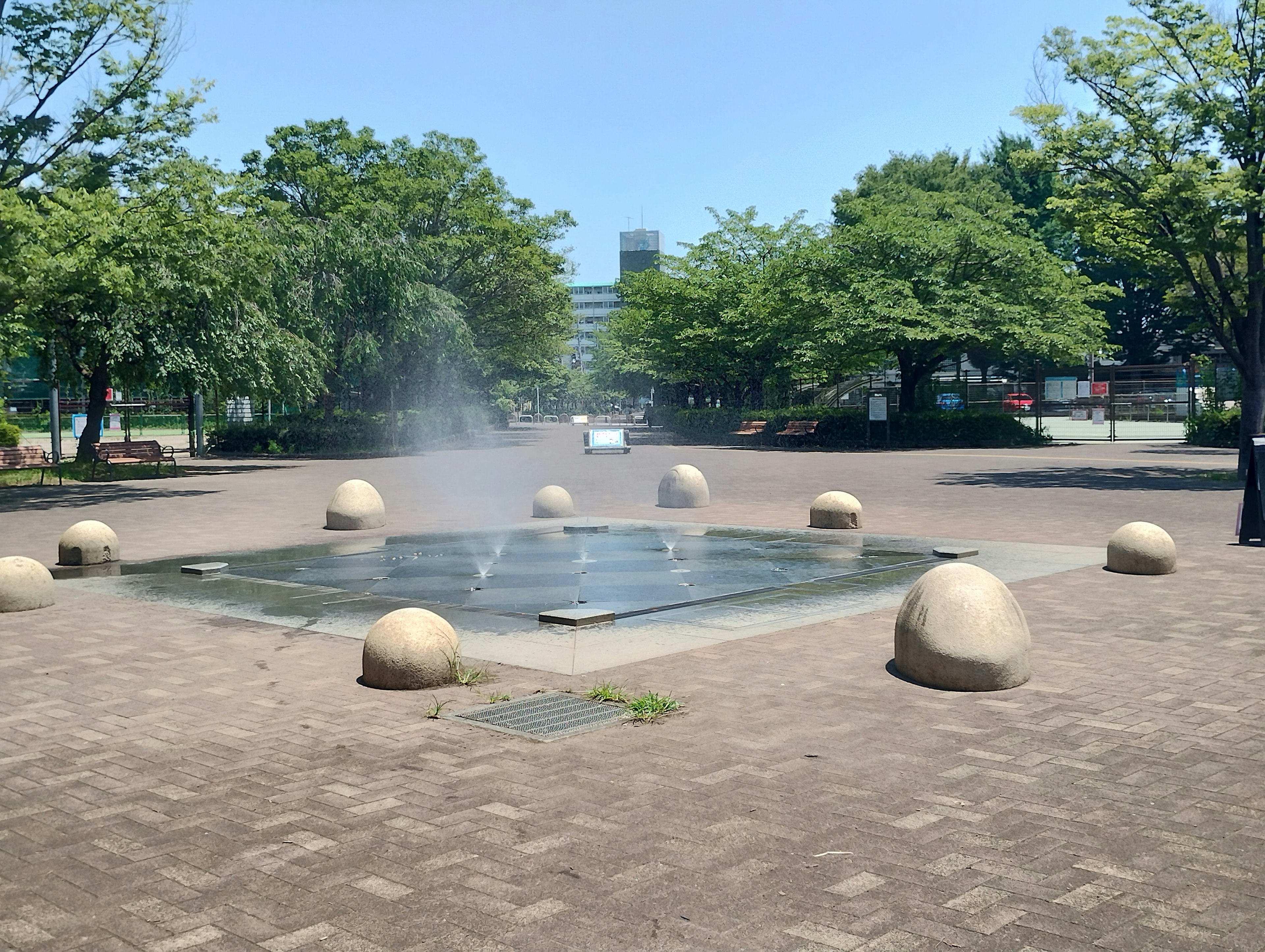 公園の噴水と緑の木々がある風景