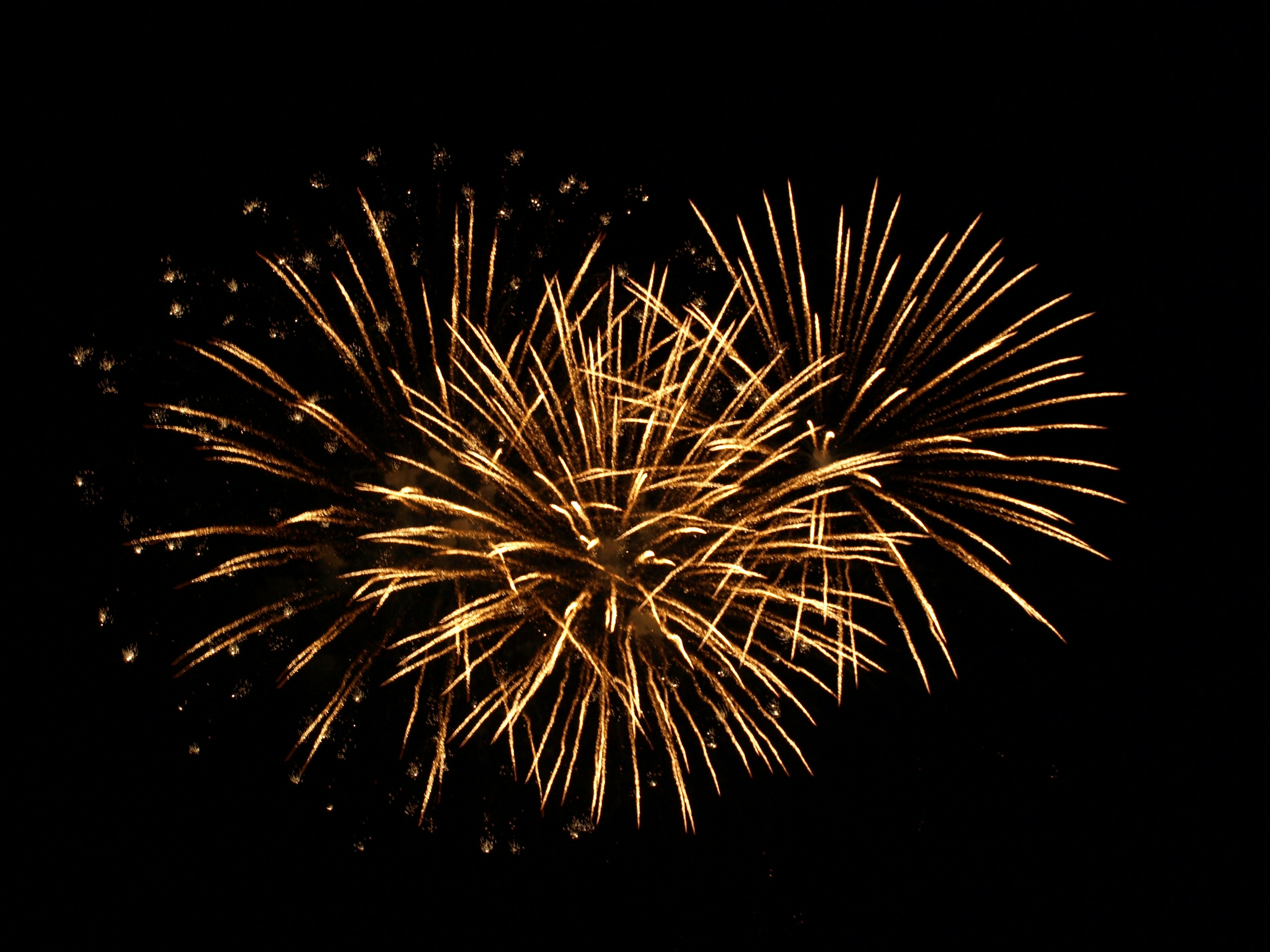 Impresionante exhibición de fuegos artificiales dorados sobre fondo negro