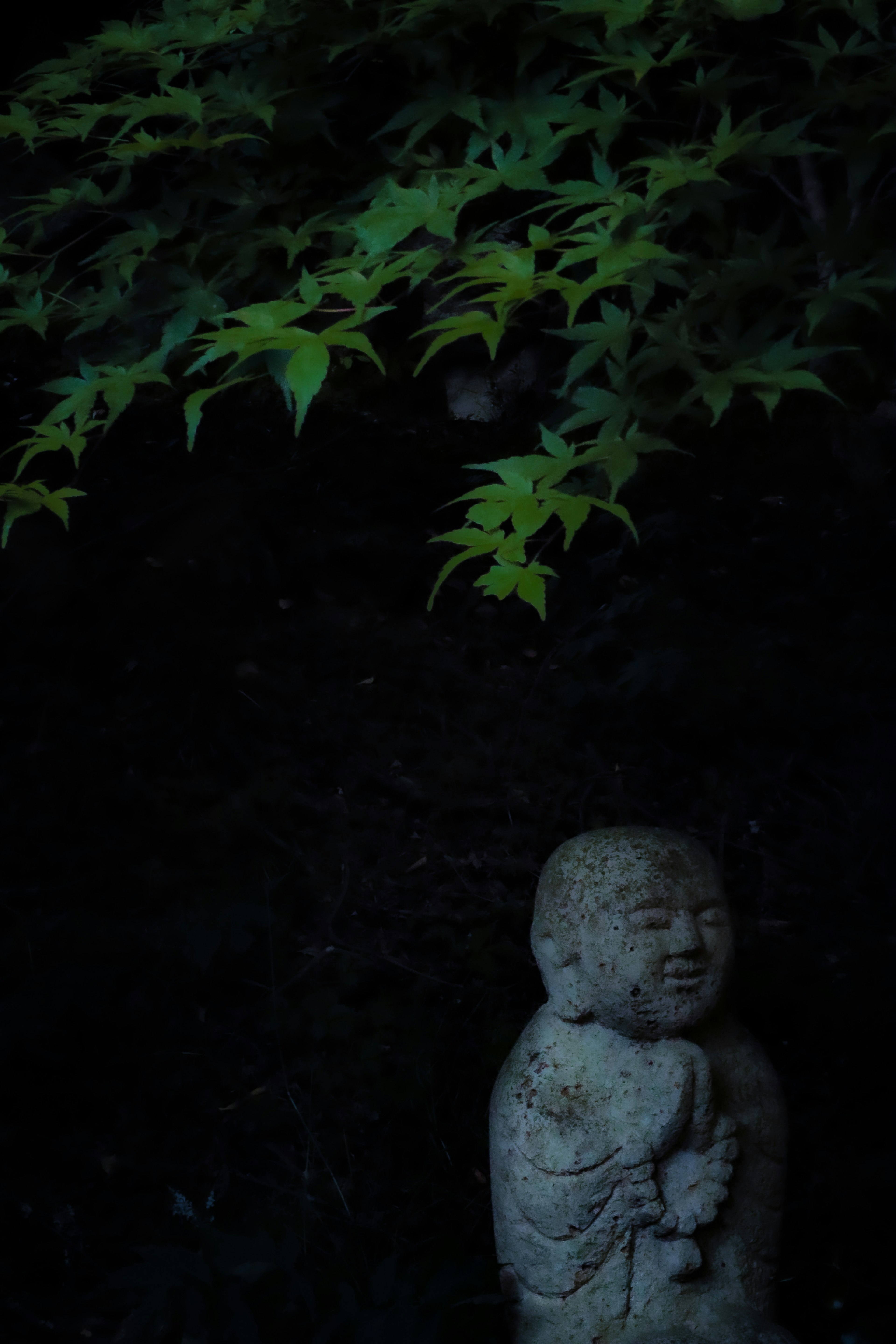 Statua di pietra di una figura simile a un Buddha parzialmente nascosta sotto foglie verdi in un ambiente scuro