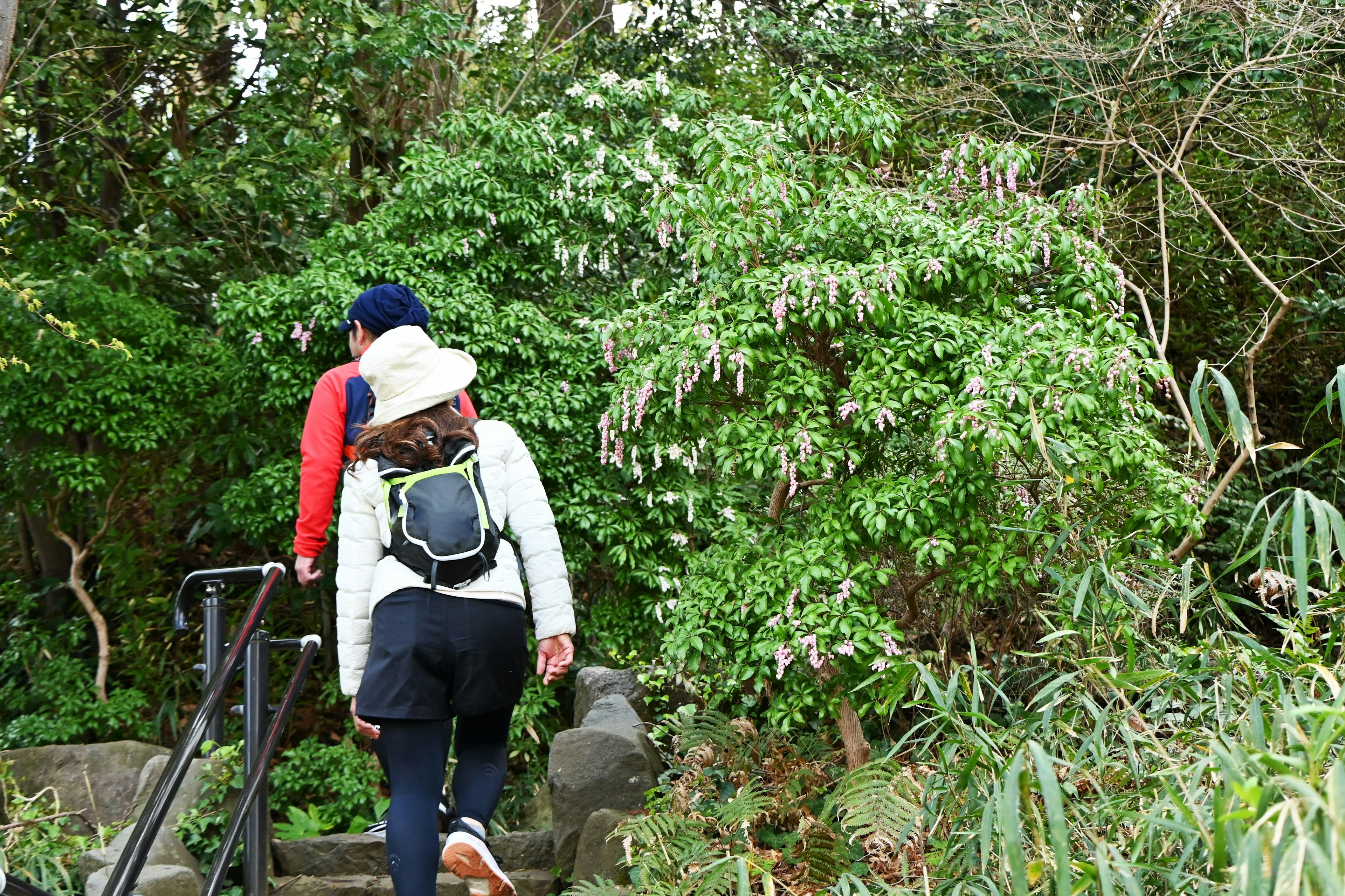 Two hikers ascending stairs surrounded by lush greenery