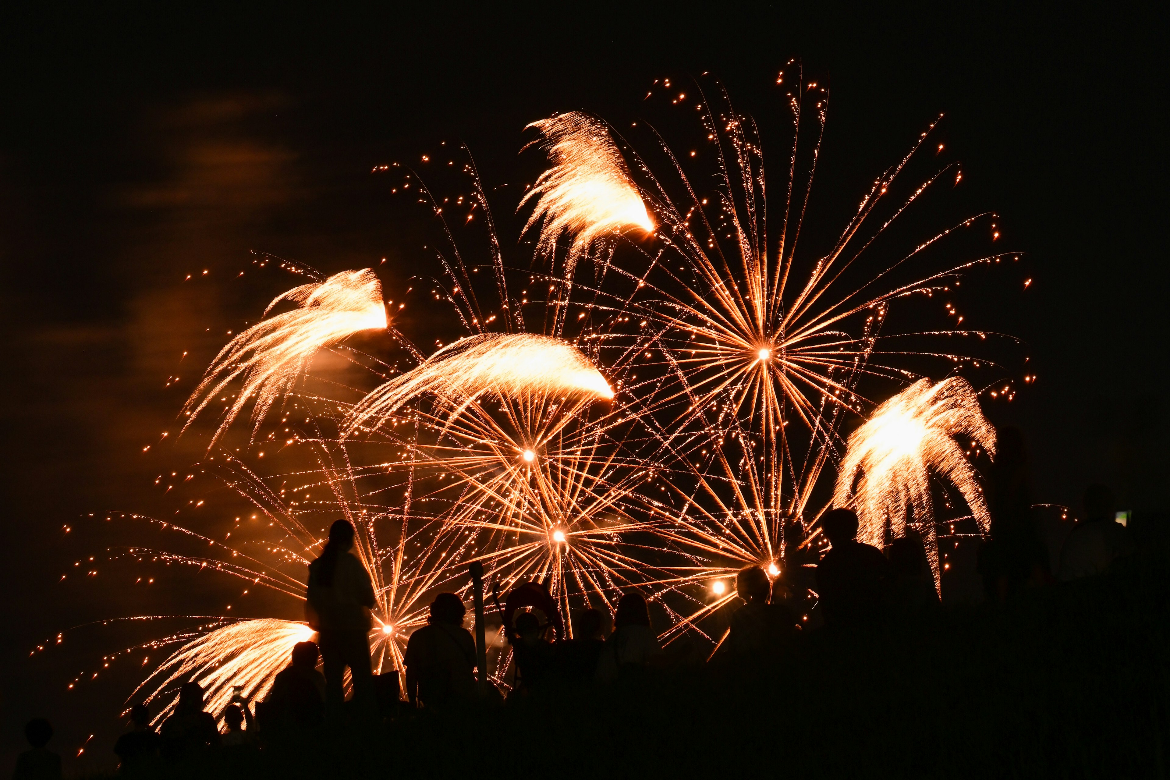 夜空に輝く花火のシルエットと観客