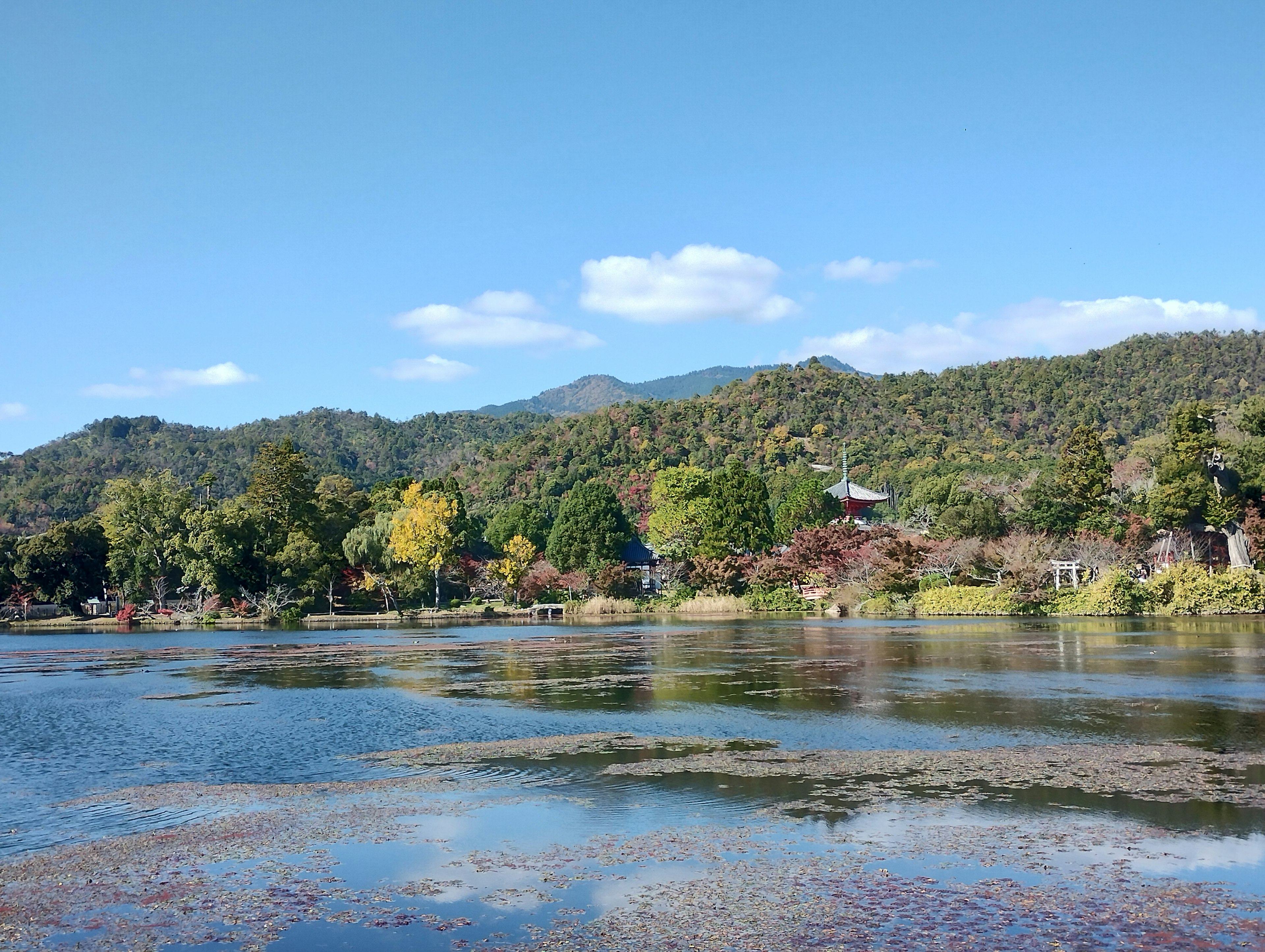 湖泊周圍被山脈和多彩樹木環繞的風景，藍天