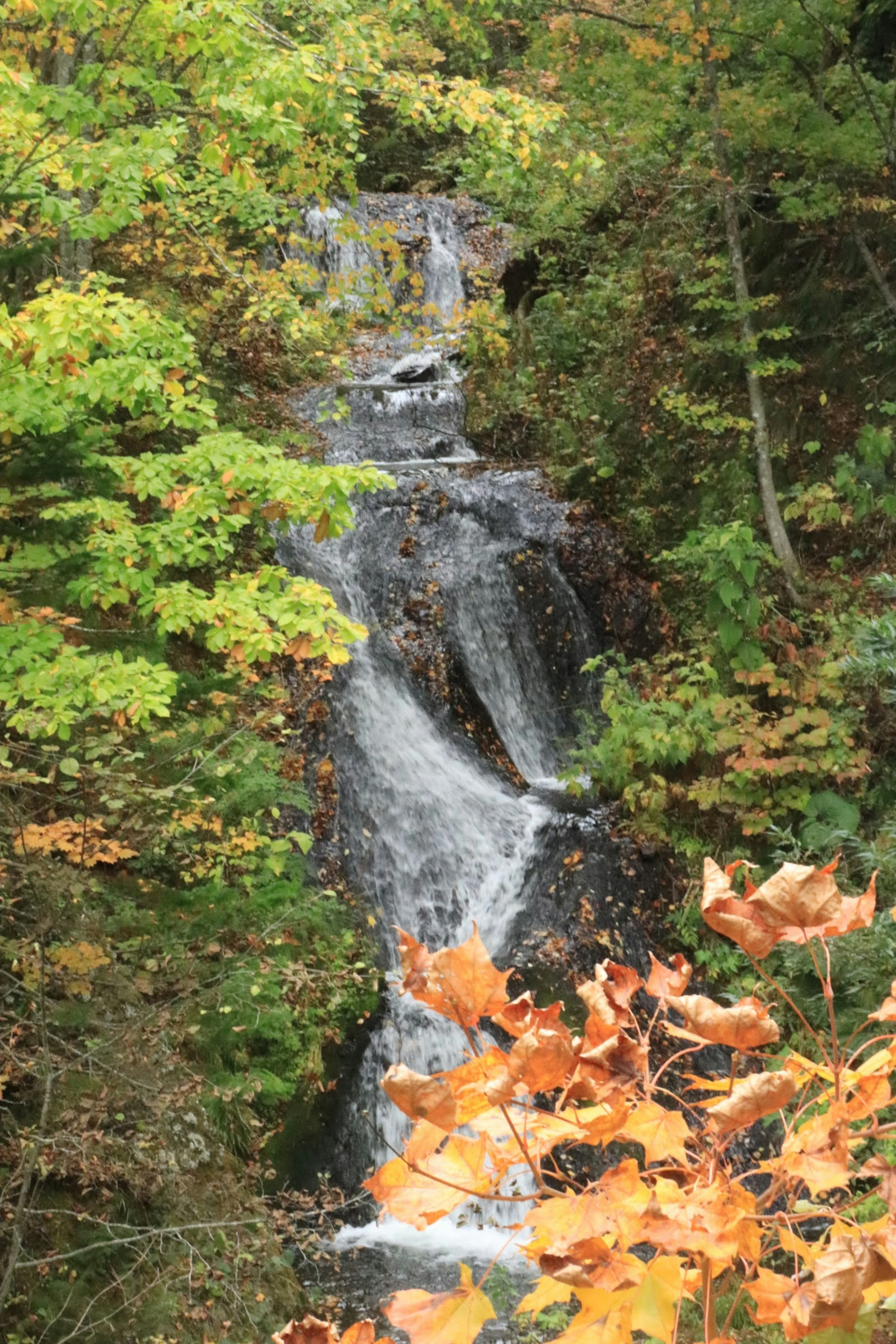 Belle cascade entourée de feuilles d'automne colorées