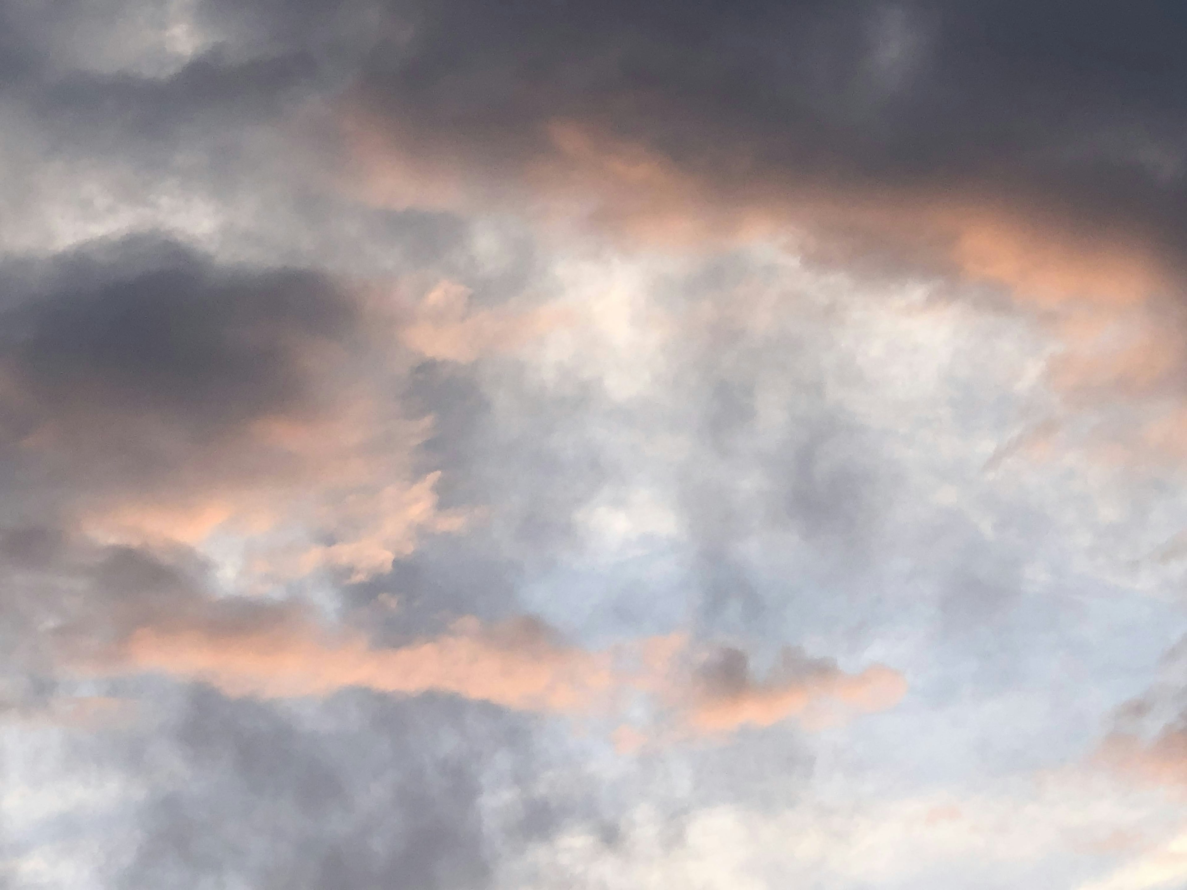 曇った空に淡いピンクの雲が浮かんでいる