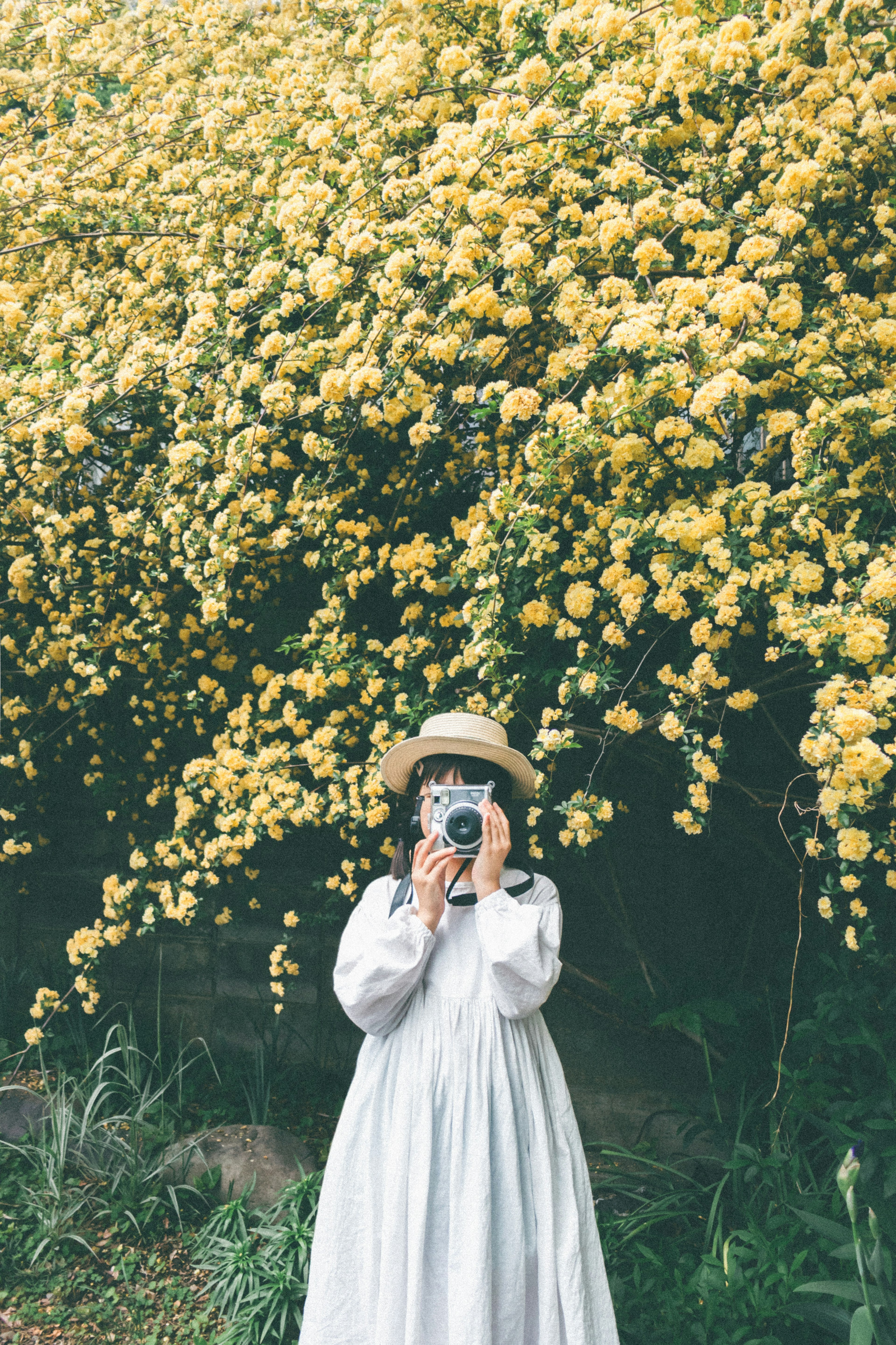 Una donna in abito bianco con una macchina fotografica davanti a fiori gialli