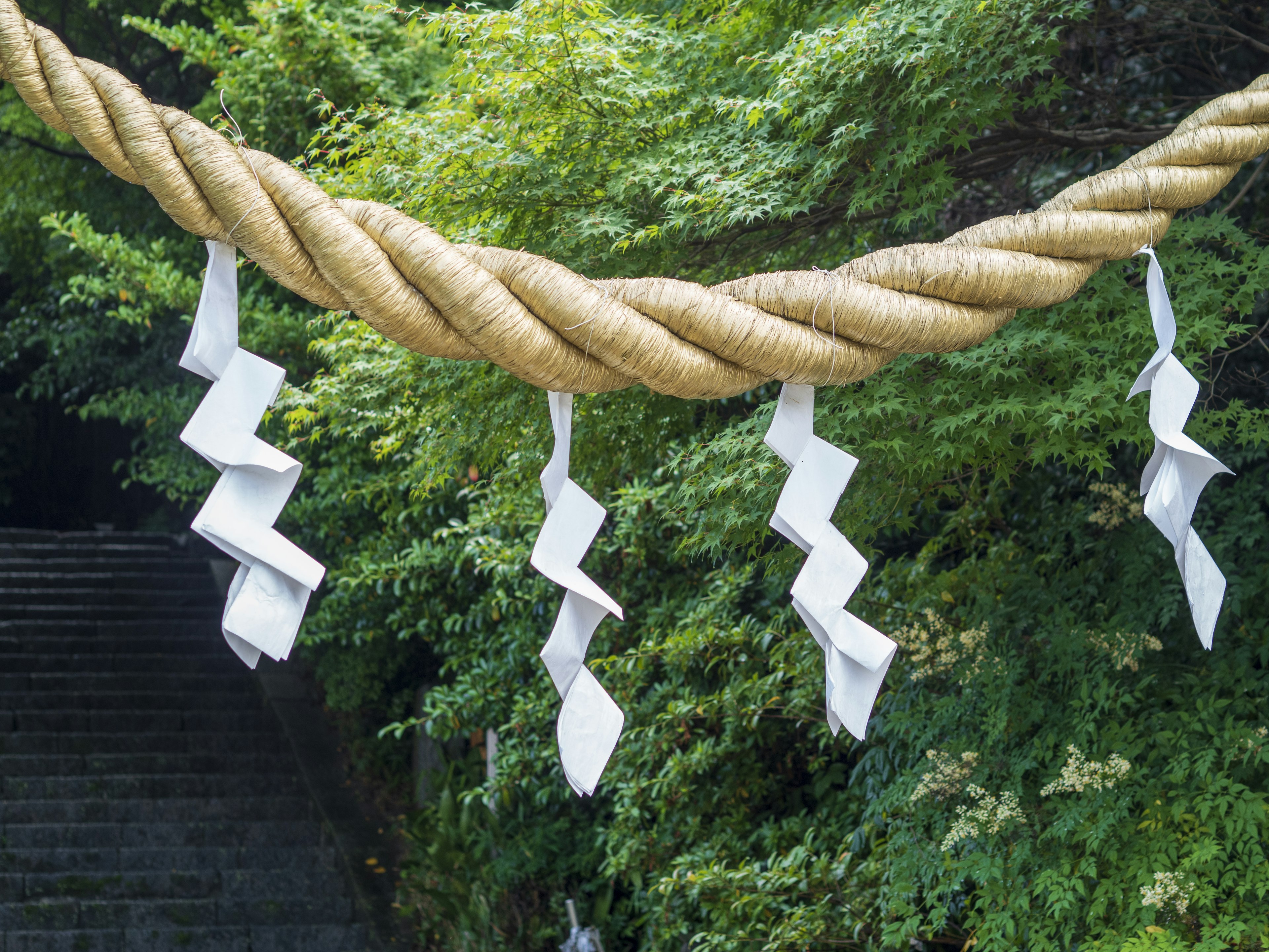 A decorative rope with white shide hanging against a green background