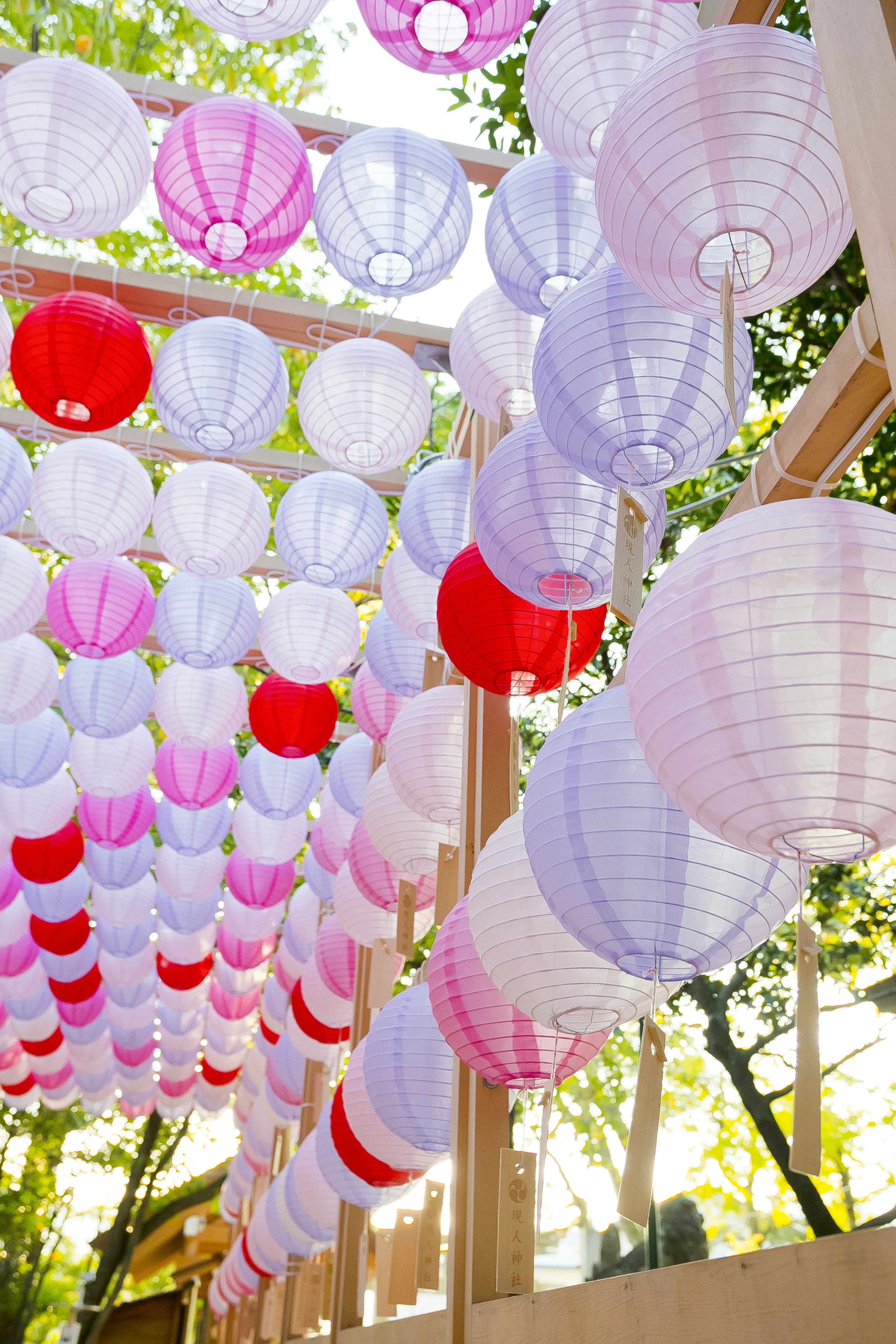 Colorful lanterns hanging in an outdoor space