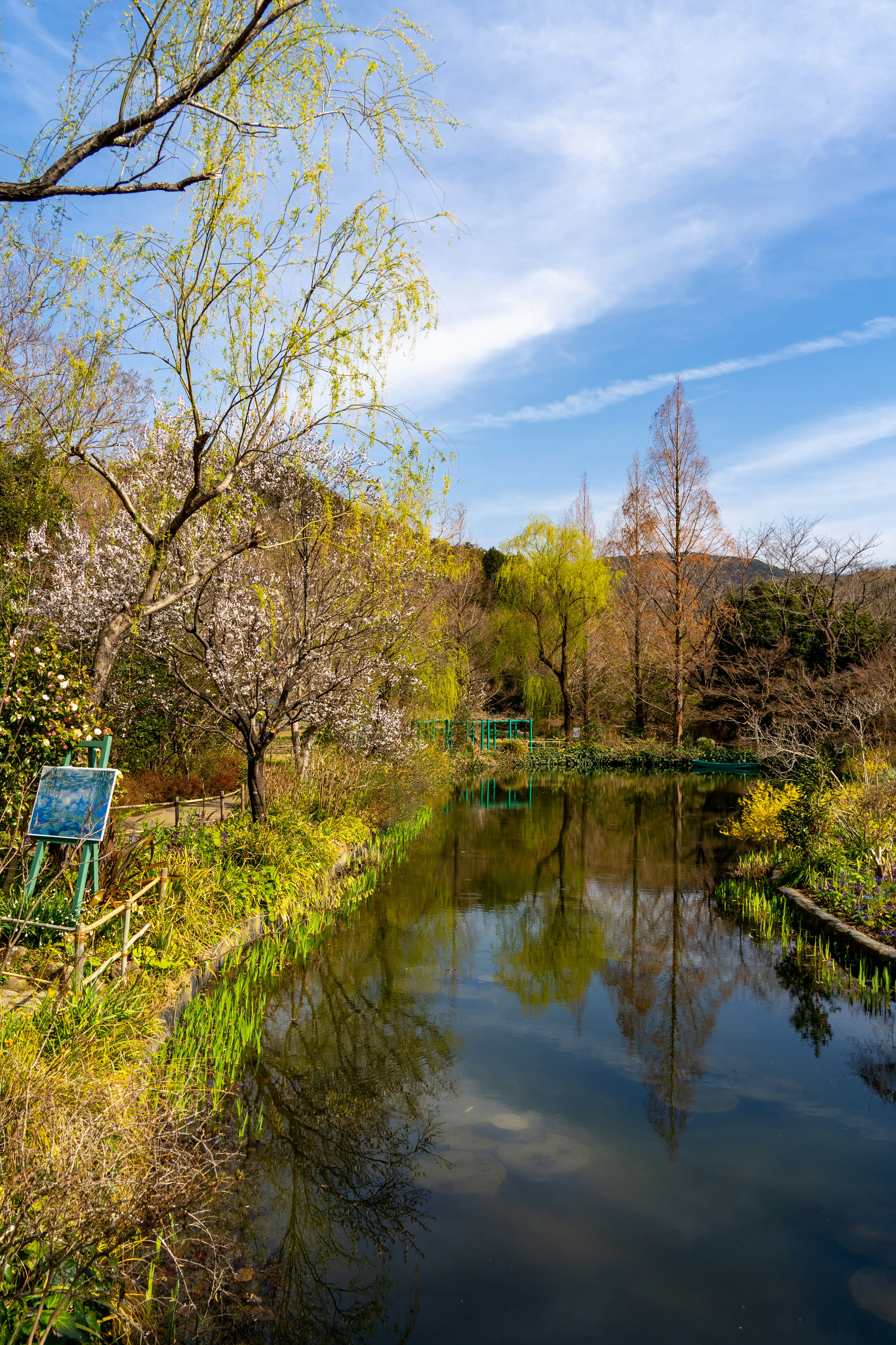 風景如畫的花園景觀，池塘映照著盛開的花朵和樹木