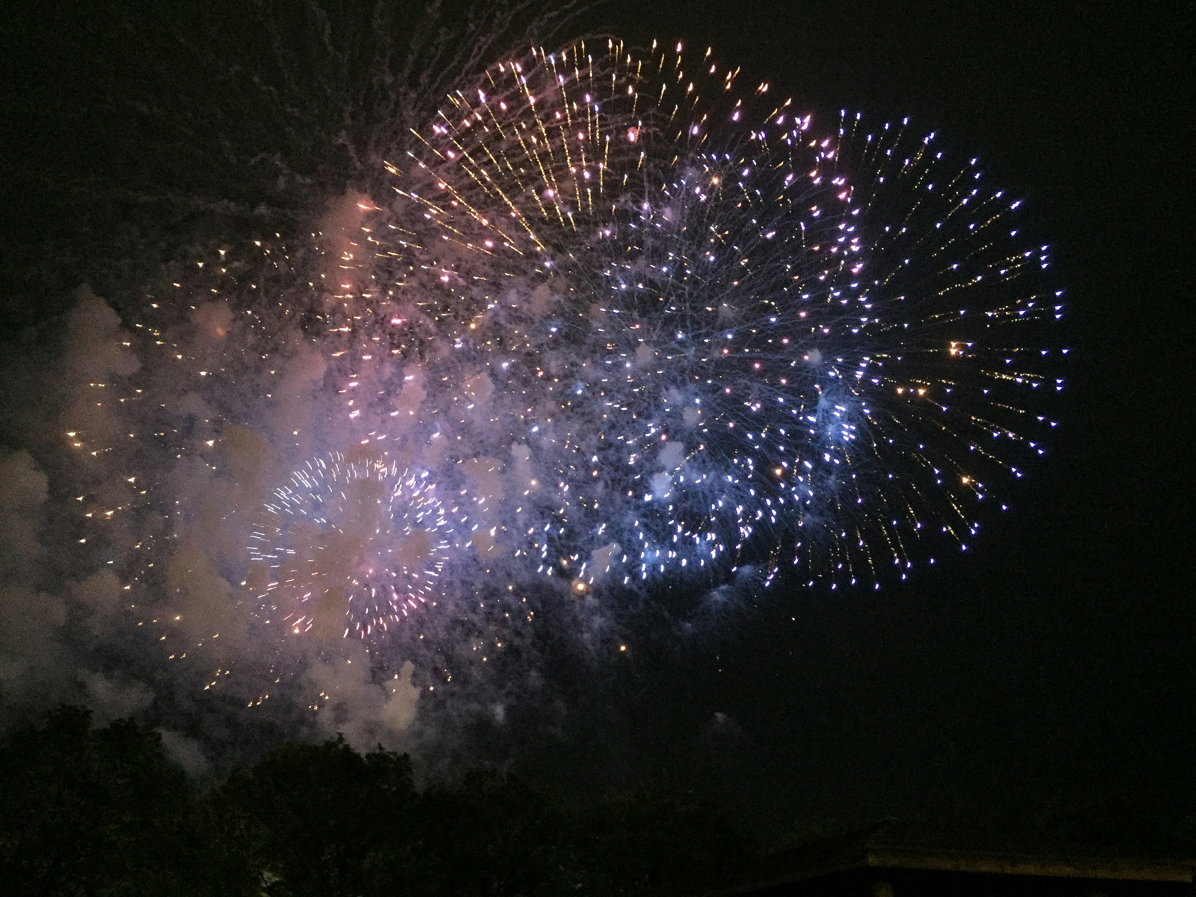 夜空中绽放的多彩烟花表演