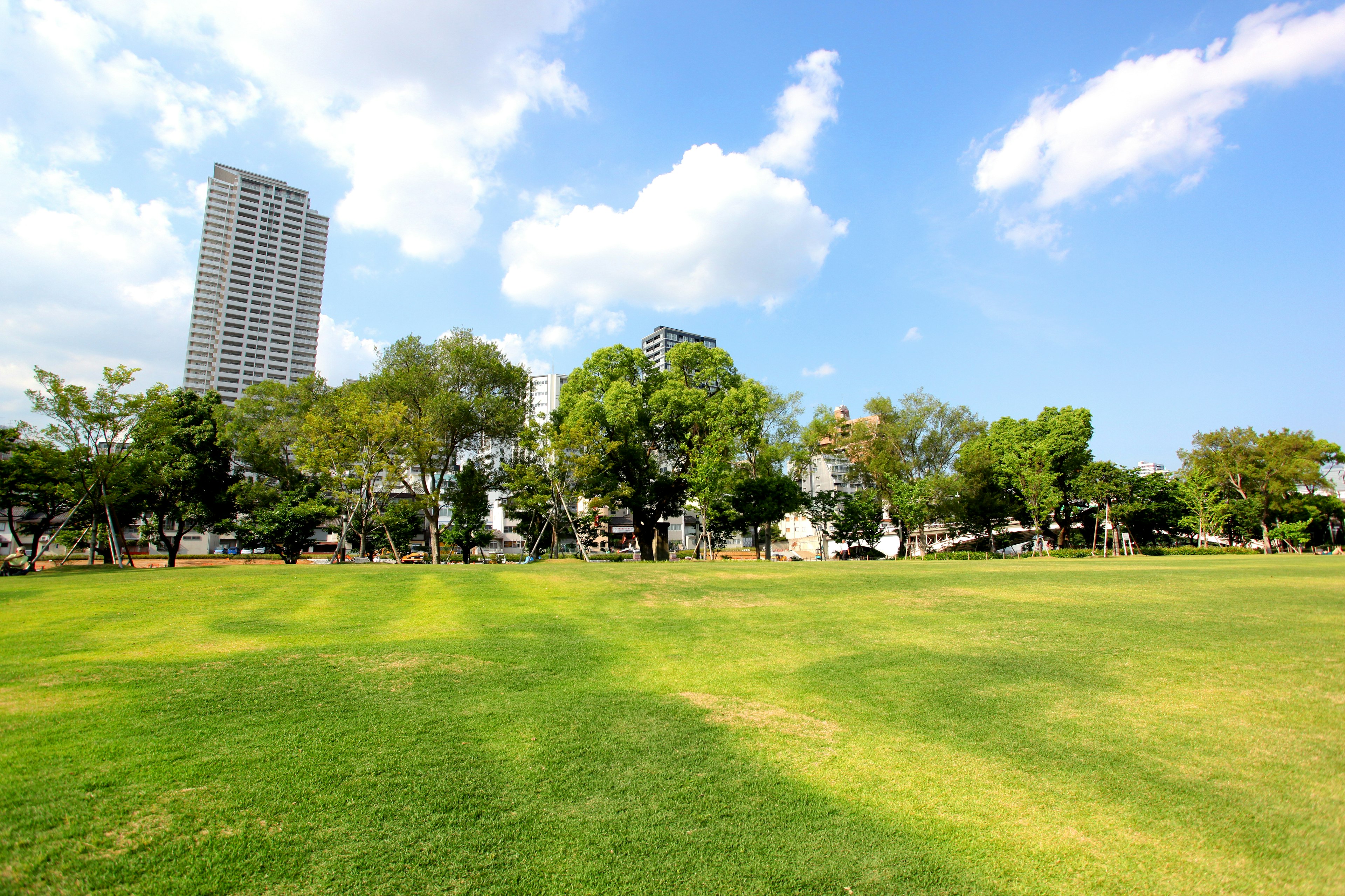 Grüne Parklandschaft mit hohen Gebäuden unter blauem Himmel