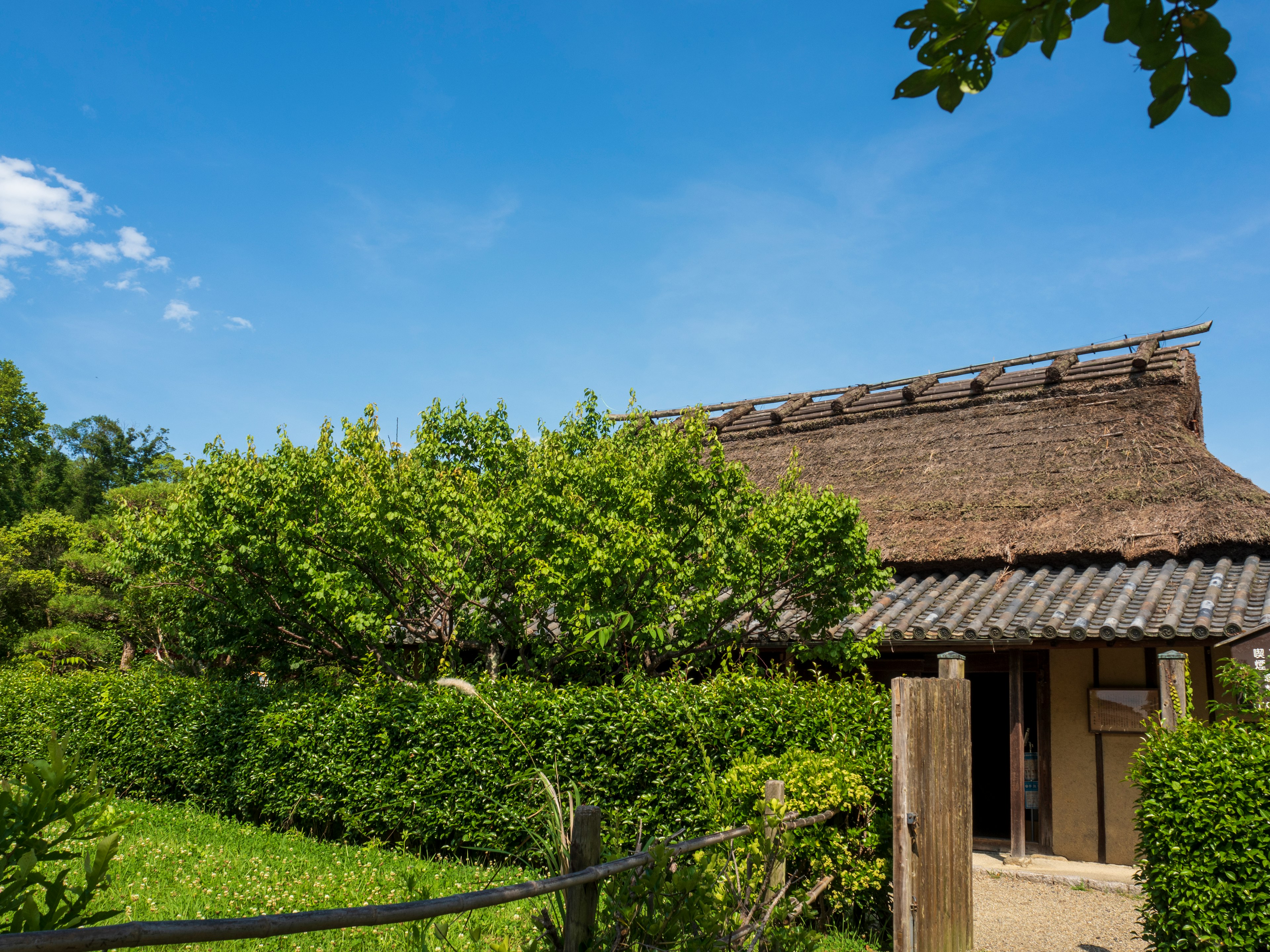 Traditional Japanese house surrounded by lush greenery blue sky and white clouds